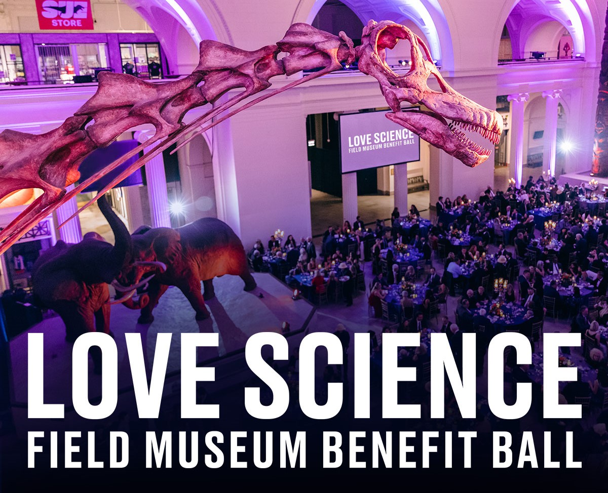 Looking down into the museum's main hall from the second floor balcony. A dinosaur fossil, with a large event set up below, with people sitting around tables.