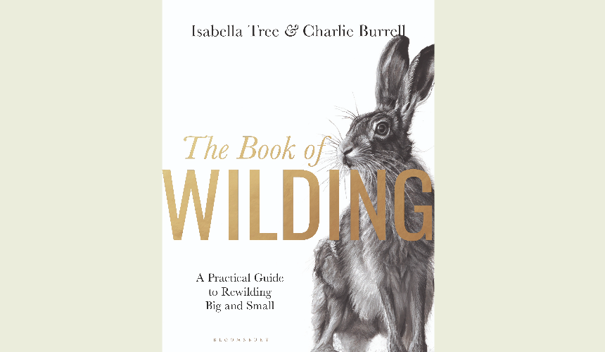 book cover "The Book of Wilding"