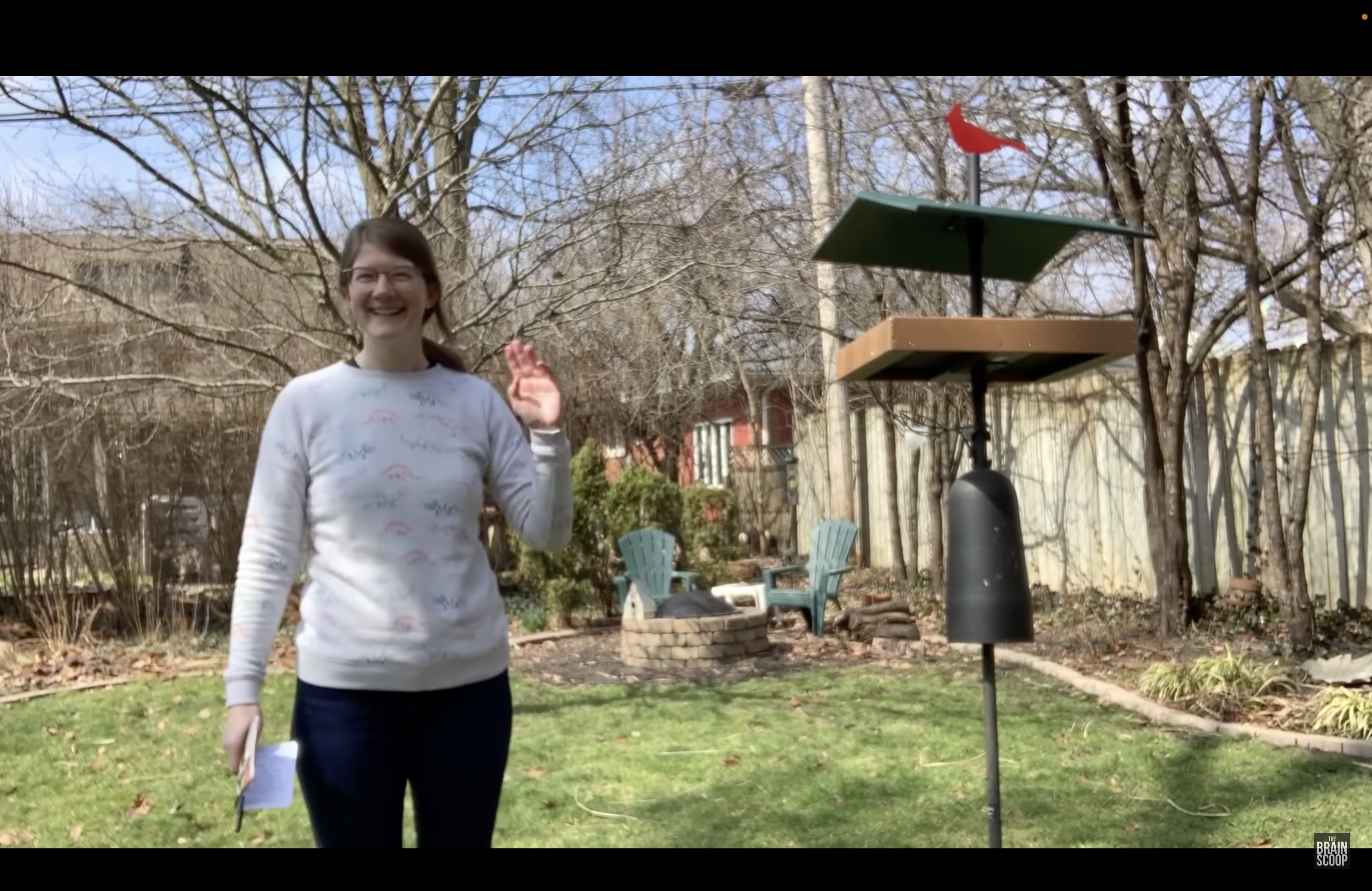 A woman stands in a backyard next to a birdfeeder.