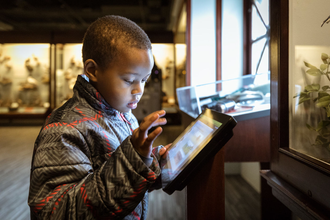 a young boy interacts with a multi-media panel in a museum exhibition.