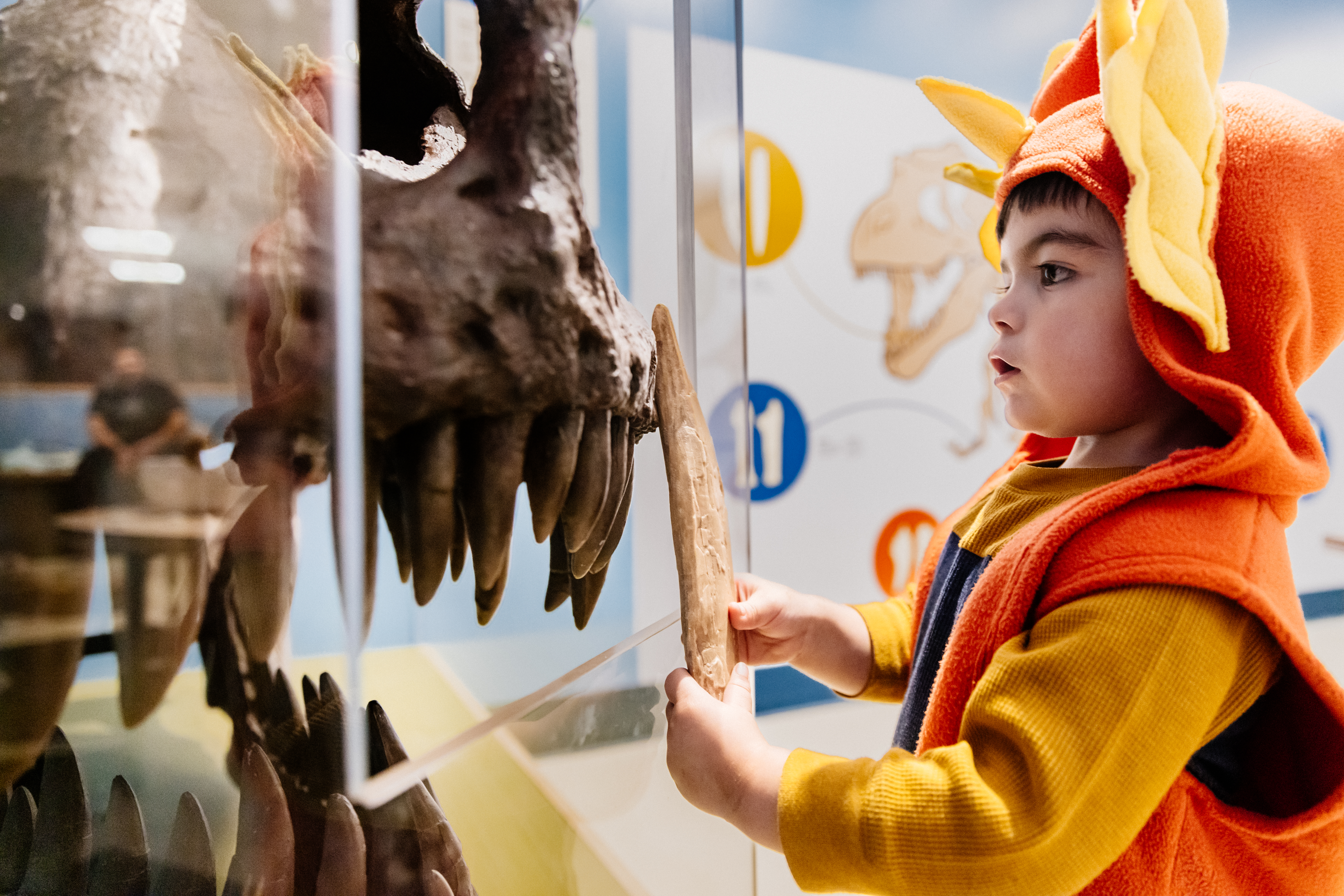 a young child wearing a yellow and orange dinosaur costume stands looking into a glass museum case containing a t. tex fossil