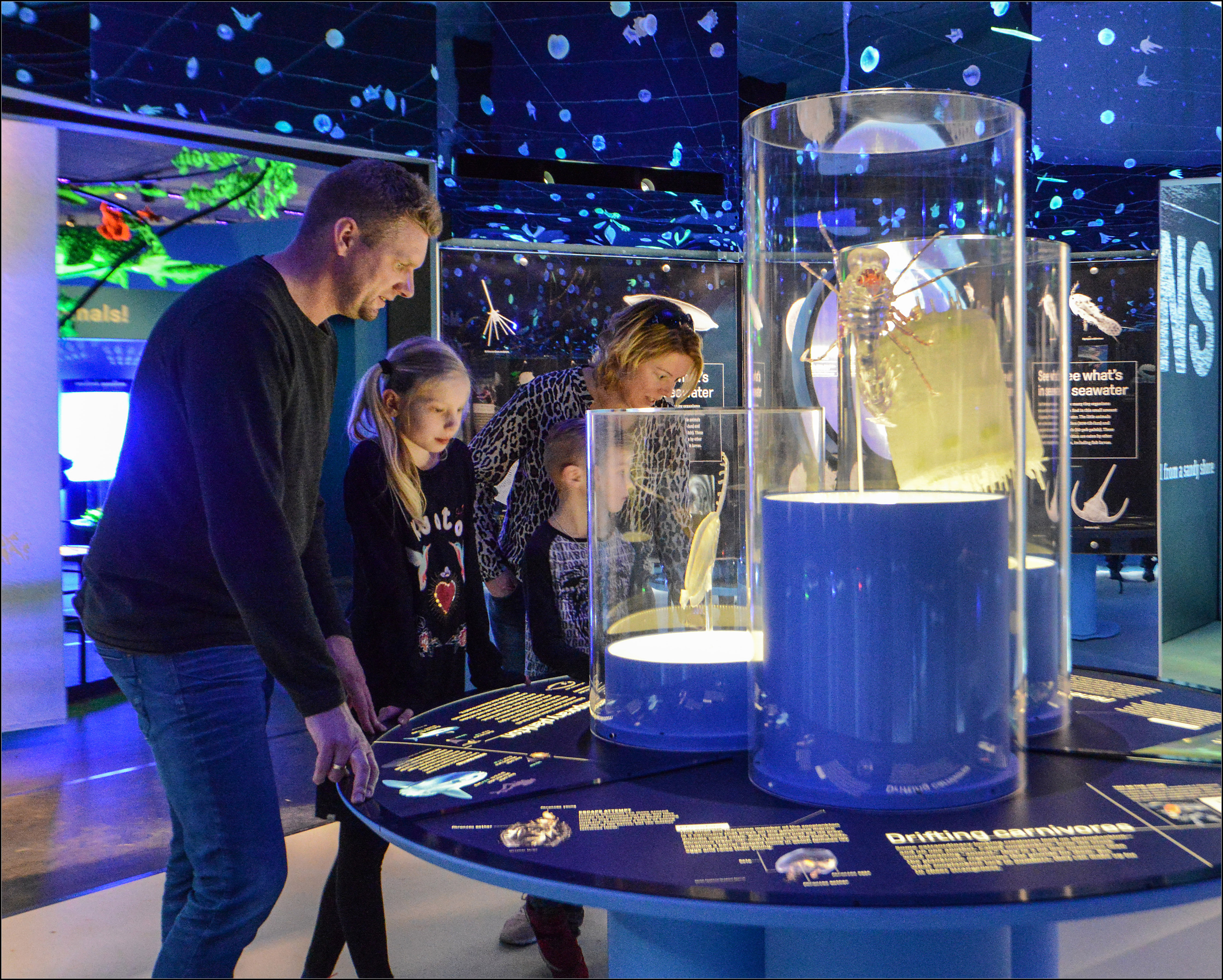 An adult and child playing the plankton-matching interactive game.