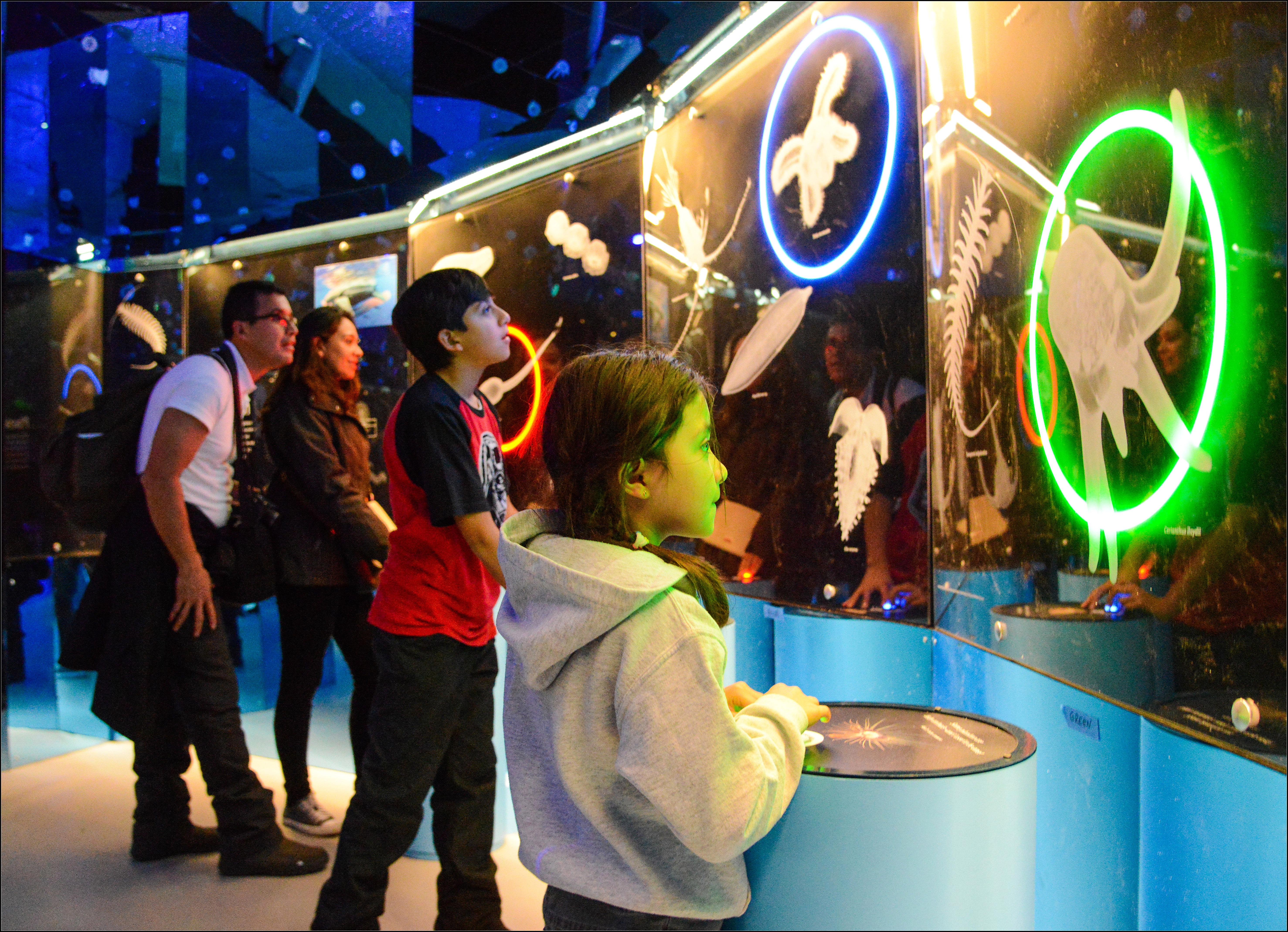 Two Adults and two children play the plankton matching game.