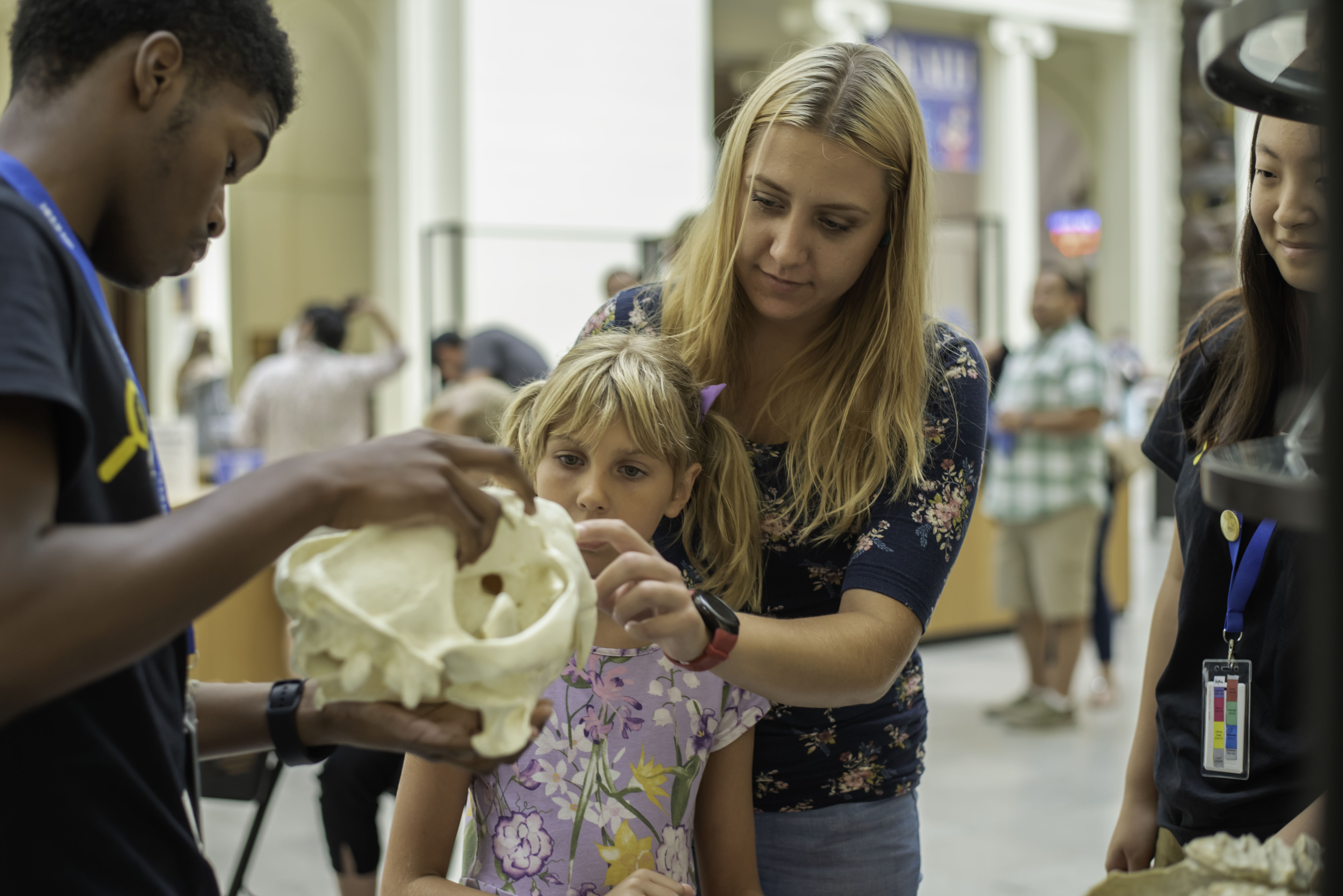 A woman and a young girl interact with museum staff, one who is holding an animal skull for them to see and touch