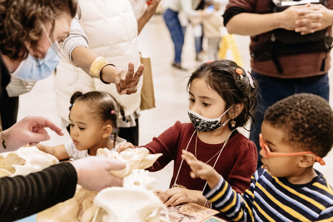 Three young visitors interact with a staff member who is showing specimens