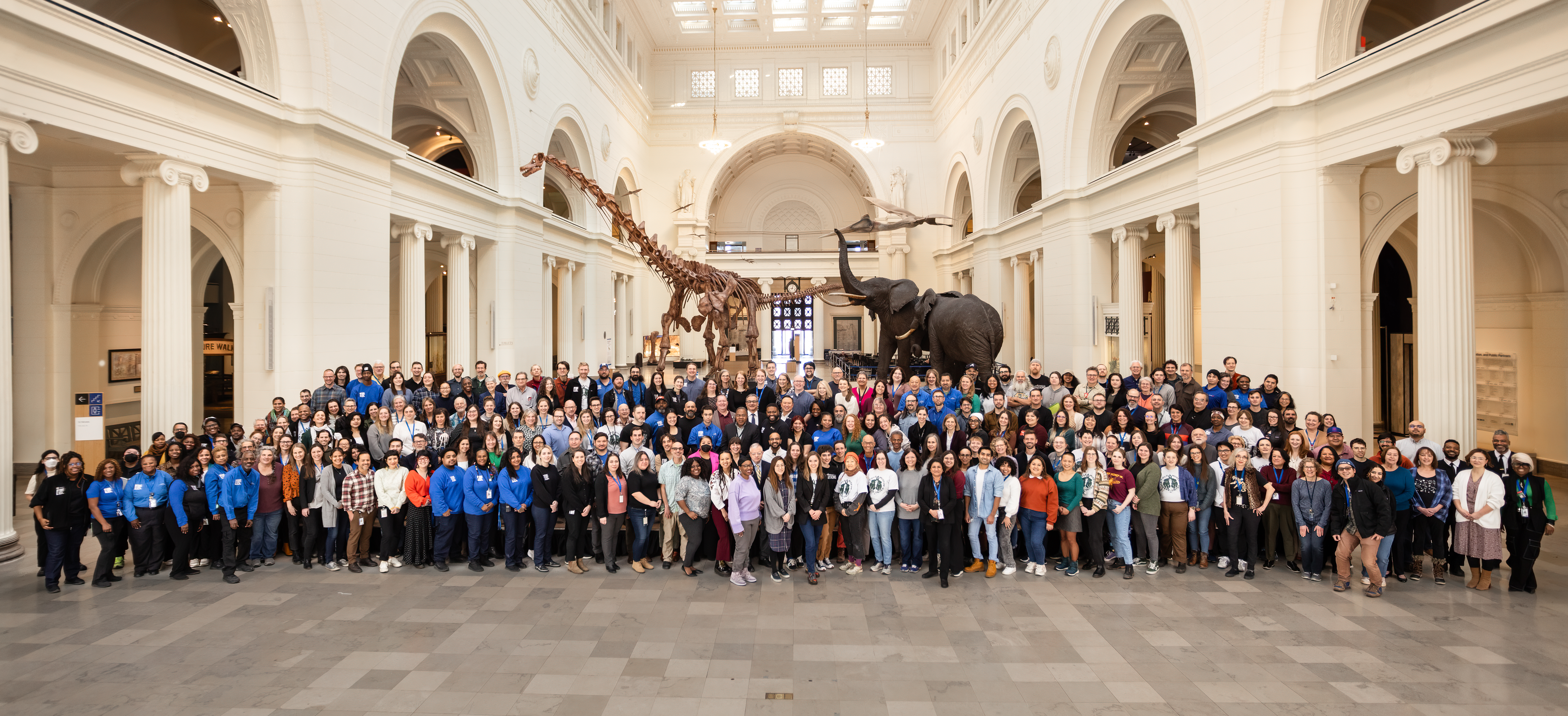 A large group of people standing together in a large exhbition hall, with a dinosaur fossil and taxidermied elephants behind them.