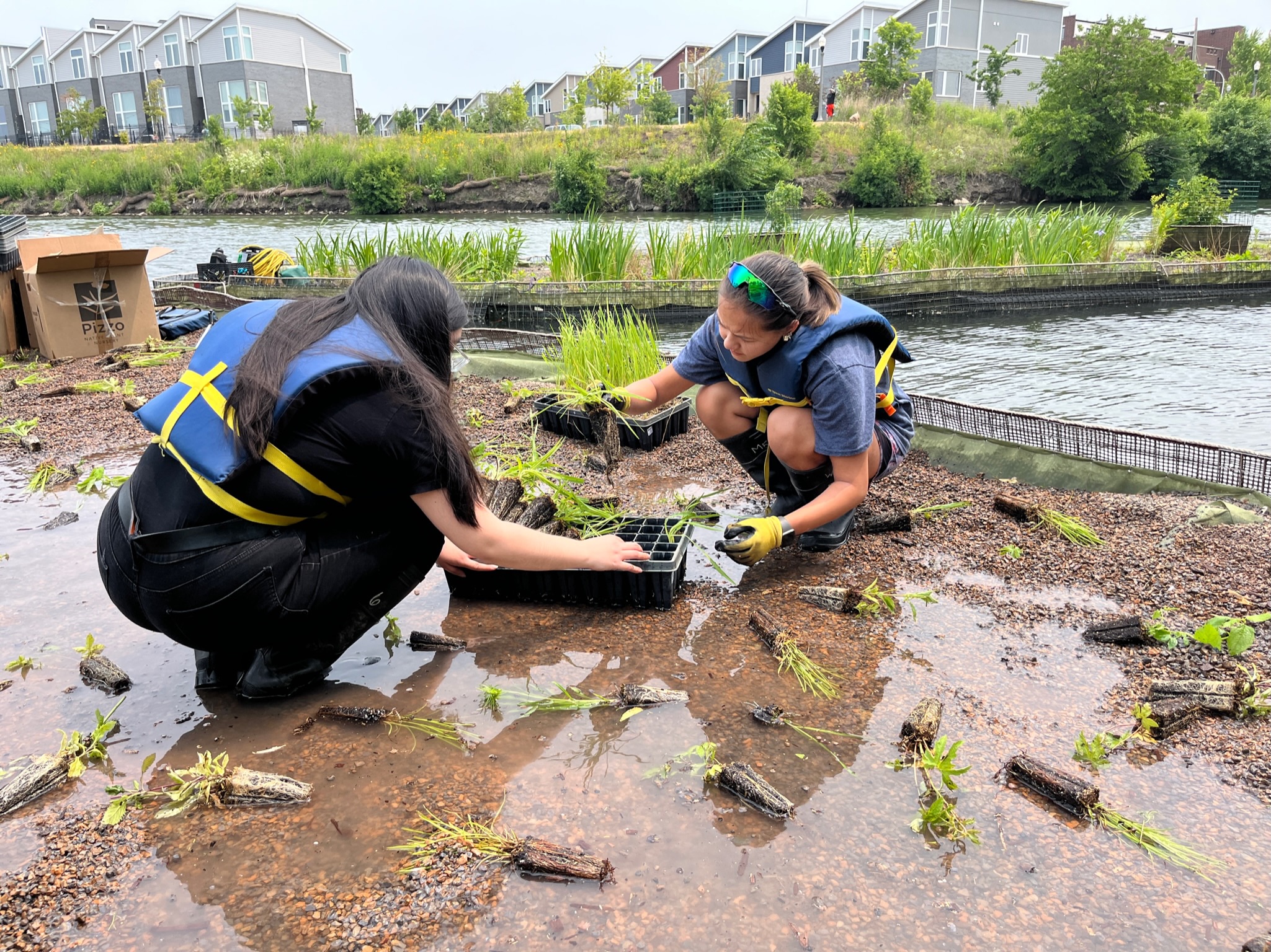Two people crouch down, working with plant seedlings along a river. Rows of townhouses can be seen across the water.