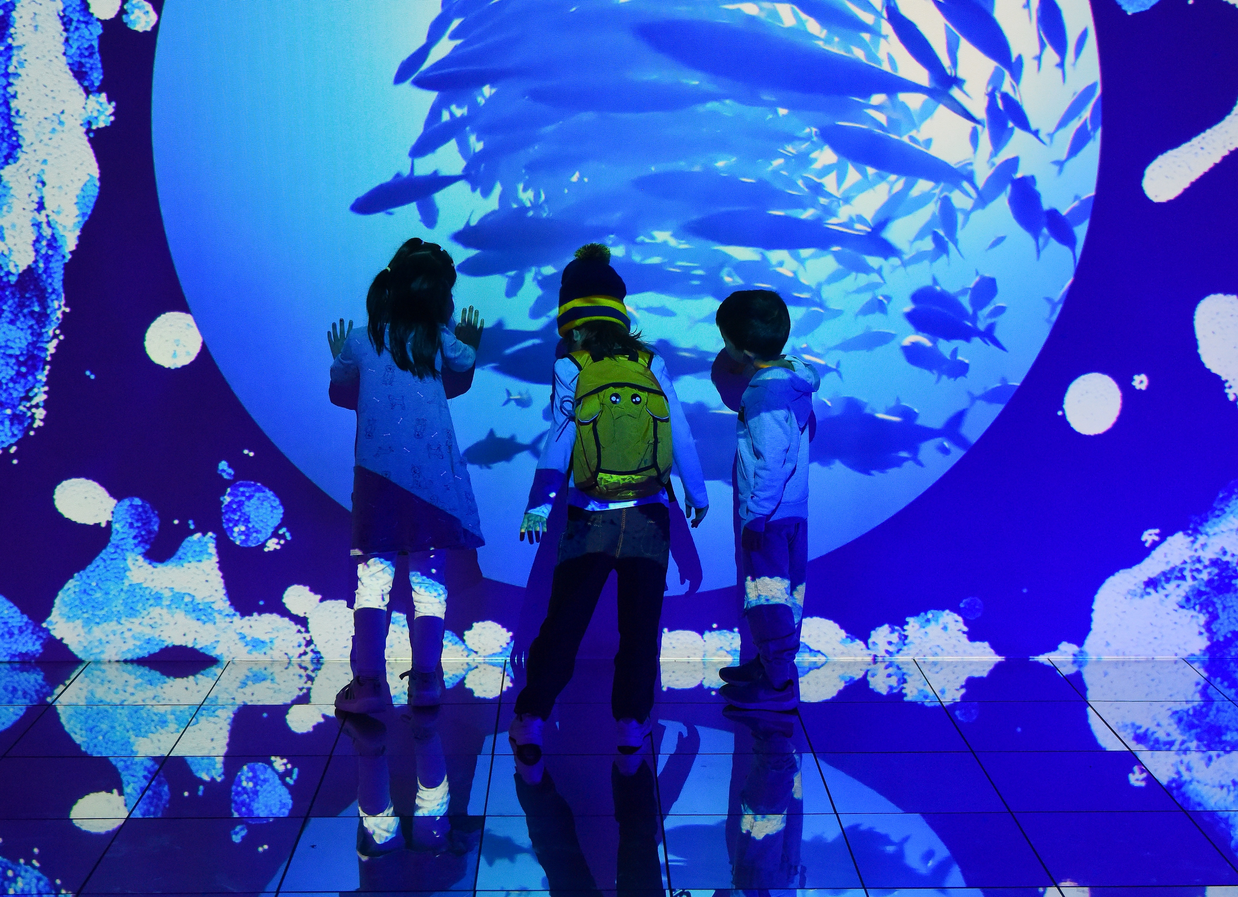Three children stand on a reflective floor in a multi-media gallery, with blue underwater scenes projected onto a wall.