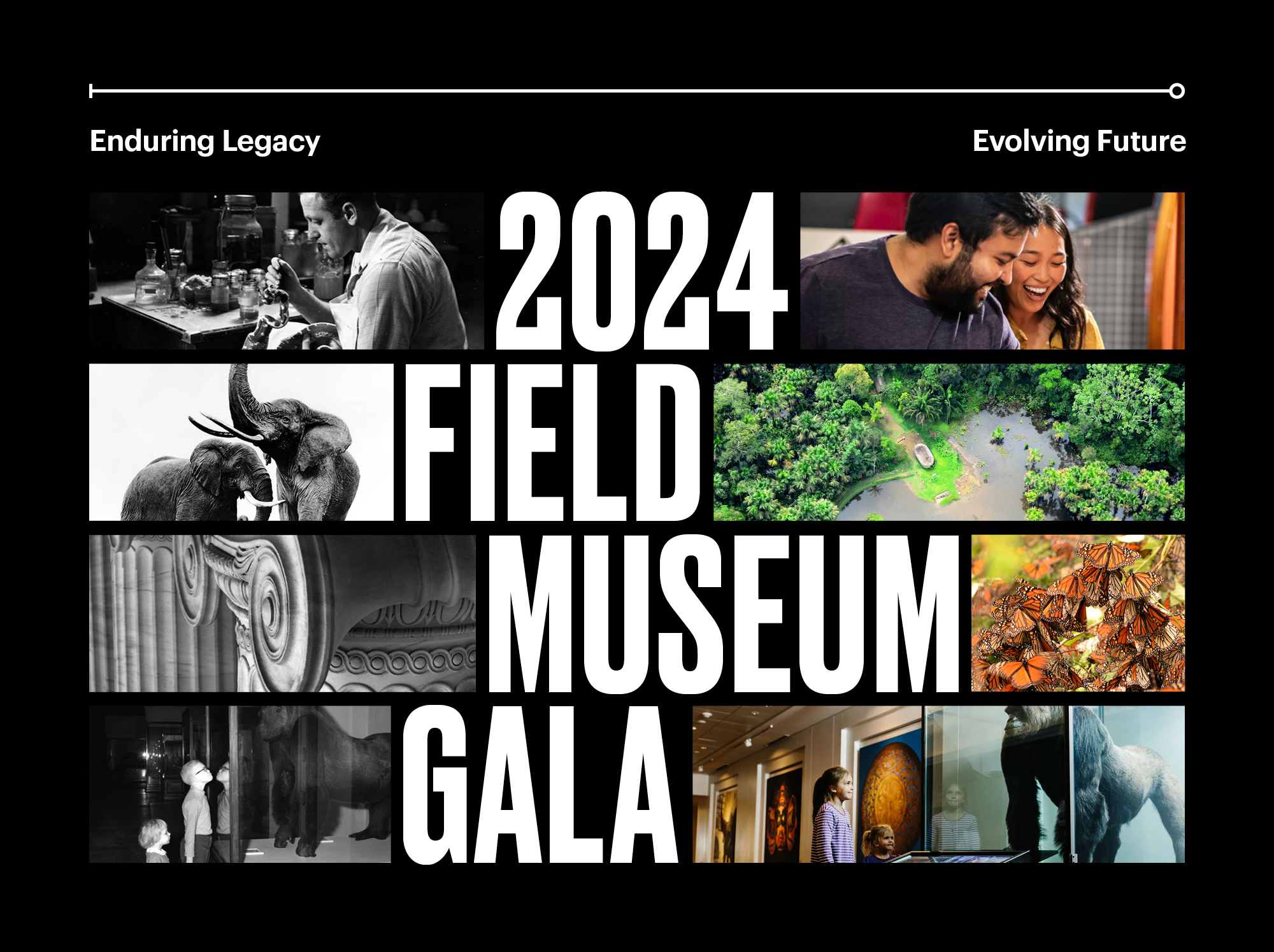 2024 Field Museum Gala logo featuring four black and white photos on the left and four color photos on the right.