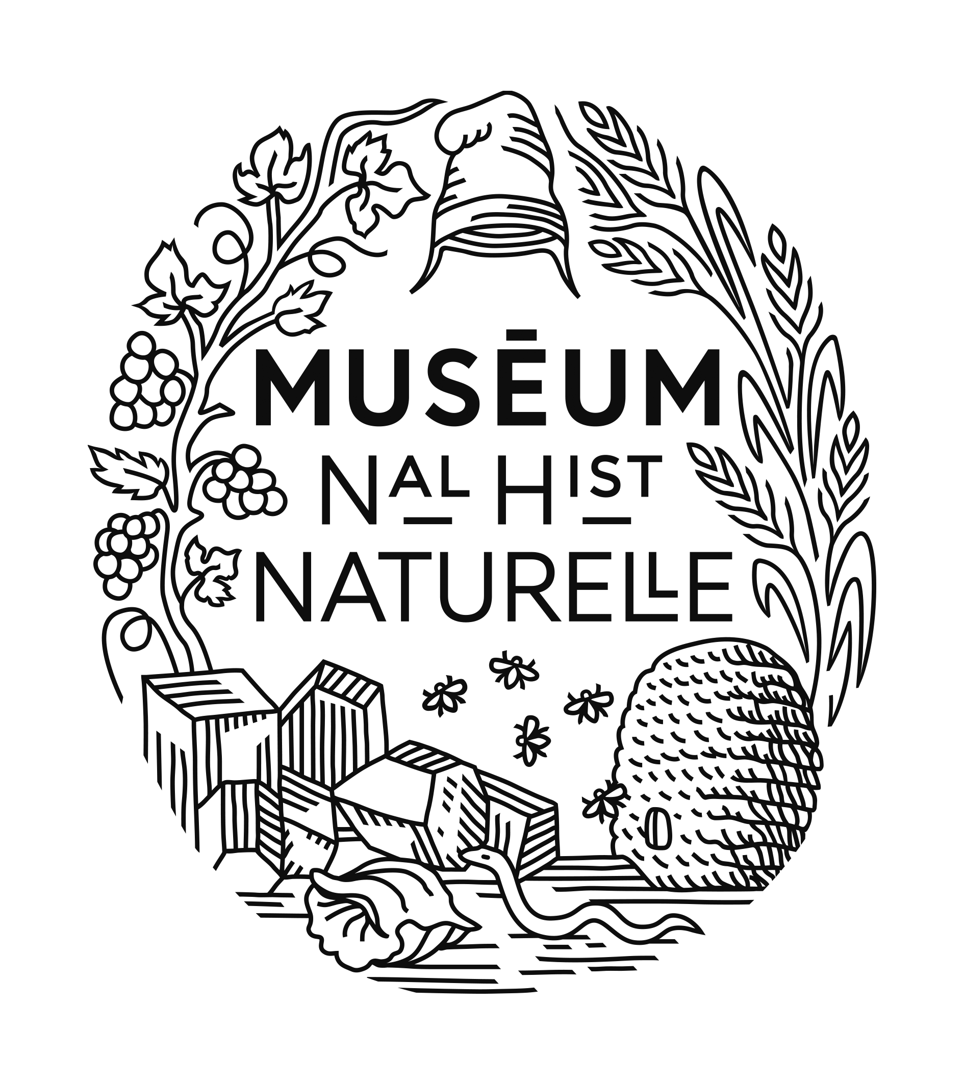 Museum national d'Histoire naturelle logo