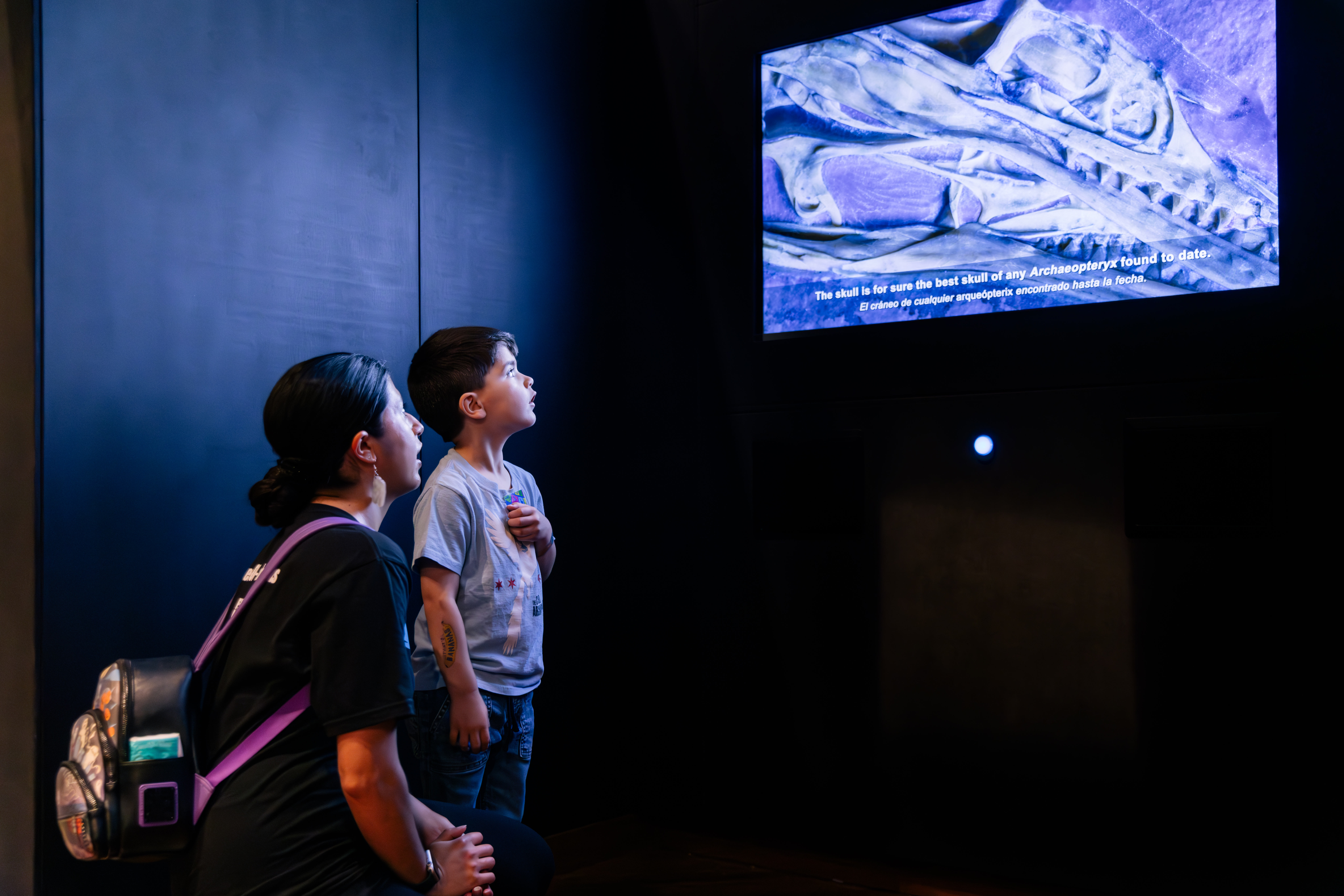 A woman stoops next to a child as they both look up at a video presentation on a screen in a dark room.