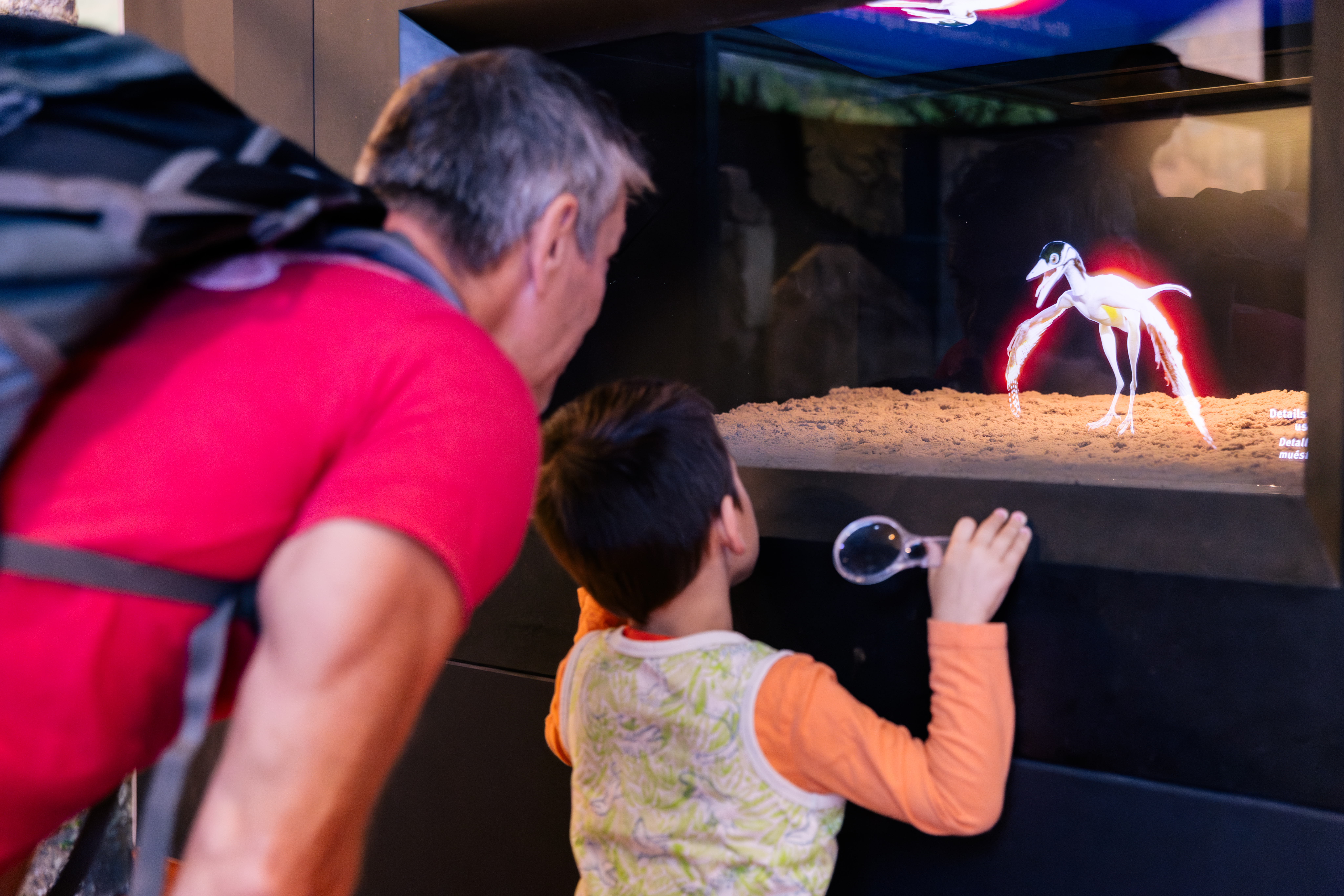A man bends down to look into a glass case to watch a hologram presentation of an archaeopteryx with a child standing in front of him.