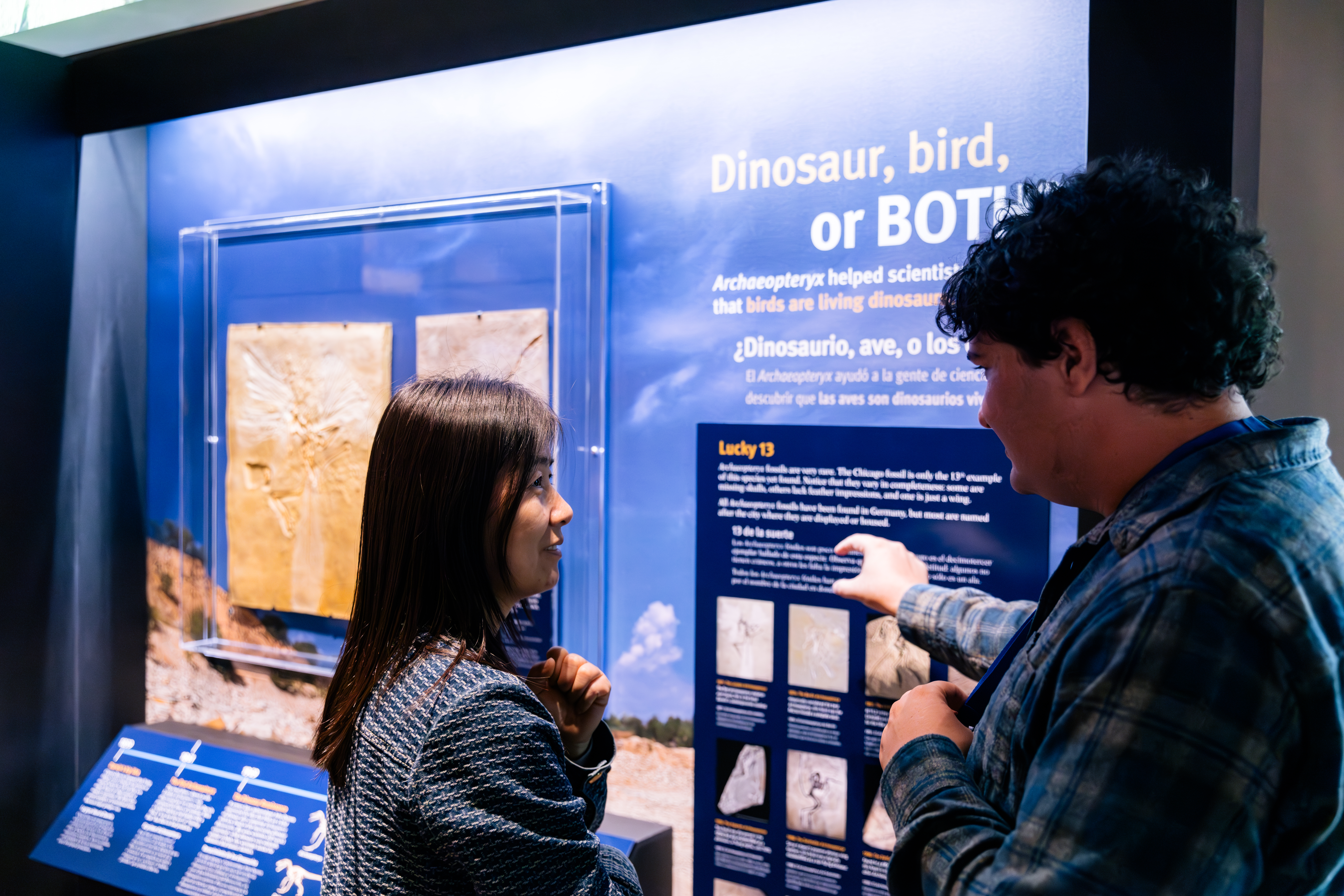 Two visitors stand in front of a museum exhibition case, one pointing at the graphic panel that is next to two fossils encased in glass.