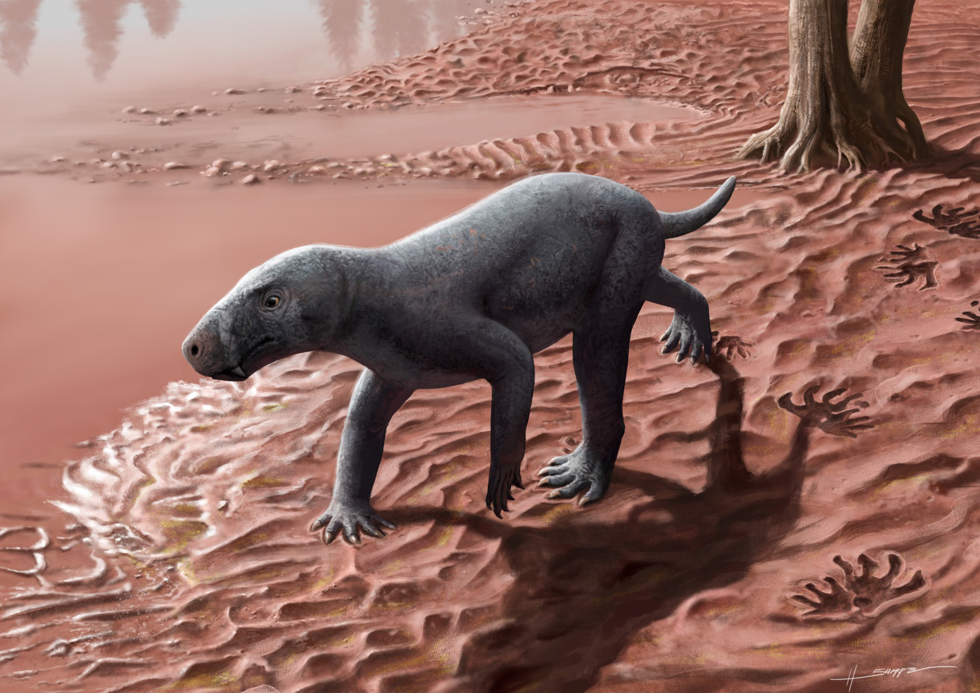 An illustration of a prehistoric mammal-like animal.