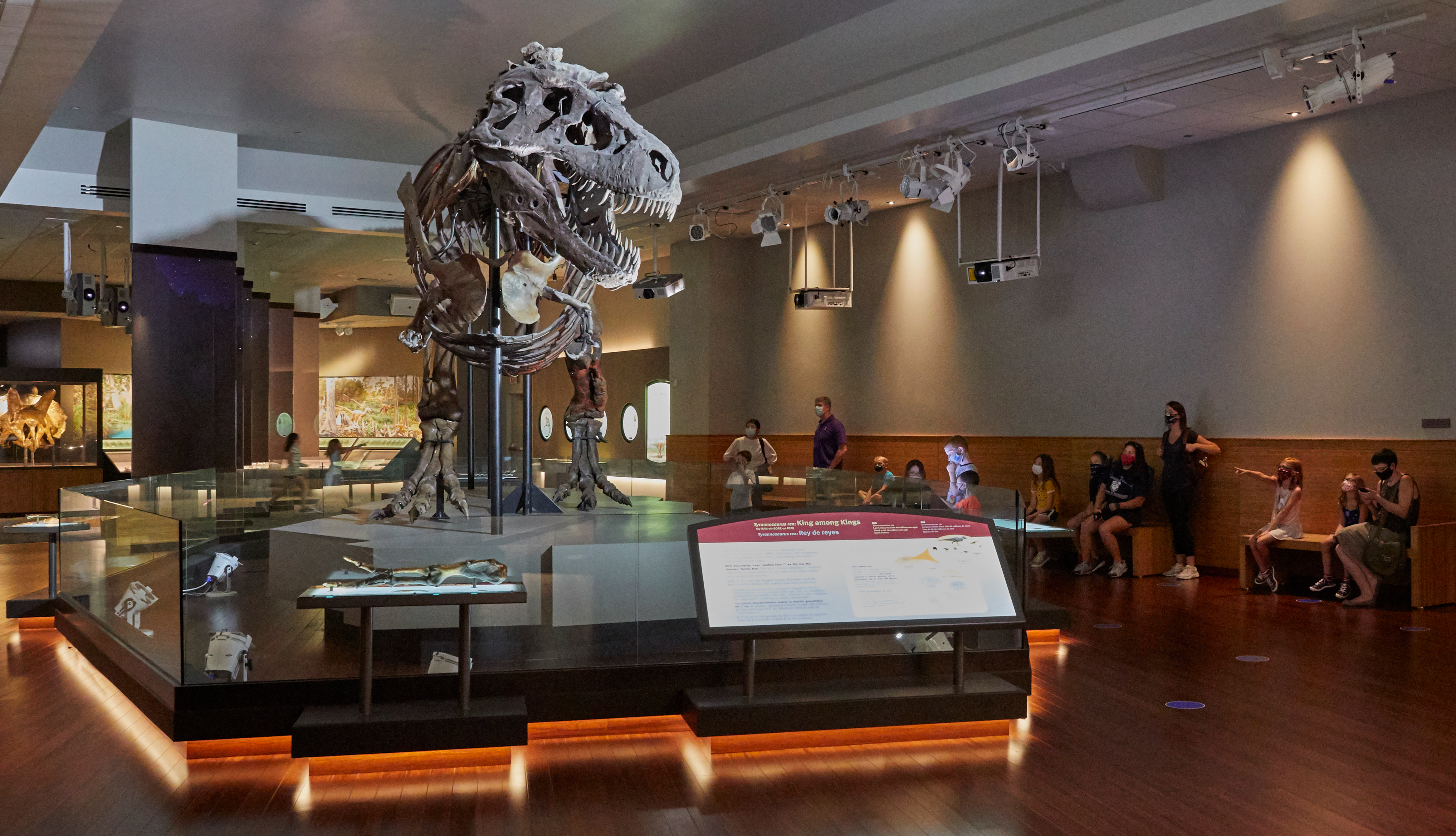 Several visitors sit on benches along a wall as they view SUE, the Tyrannosaurus rex fossil.