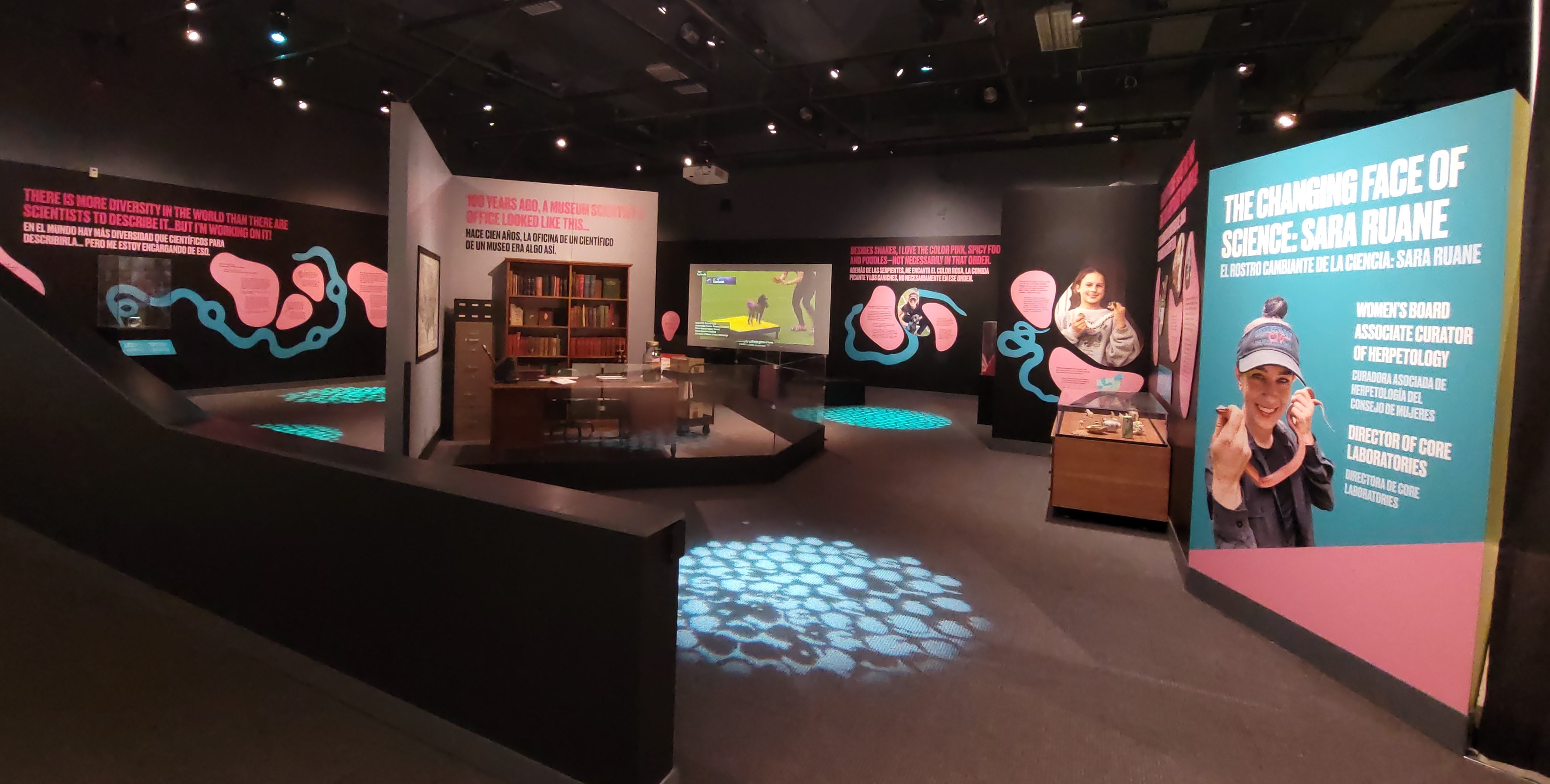 A museum exhibition space, featuring graphic panels, multi-media displays with bright pink, turquoise and black colors.