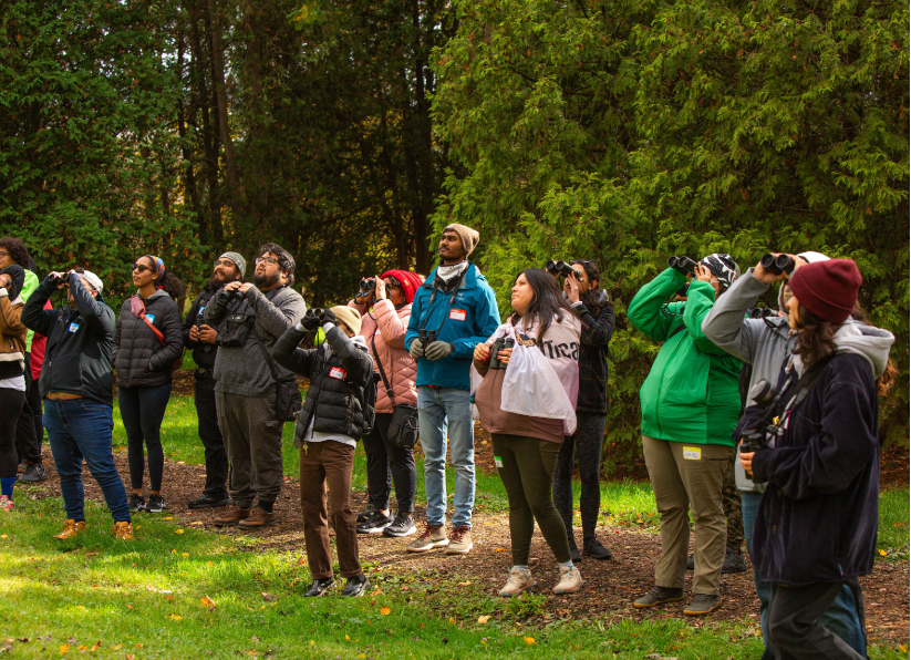 A group of people with binoculars in a forest setting looking for birds.