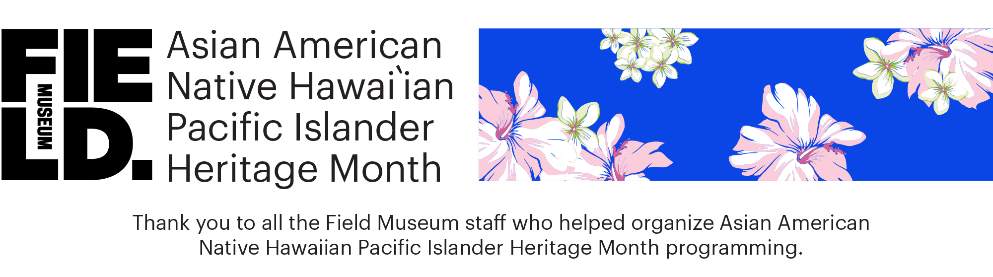 AANHPI month page header