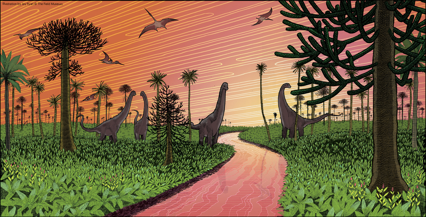 An illustration with long necked-dinosaurs standing on greenery along a river. Tall trees can be seen throughout the landscape. The sky and river is glowing in shades of orange and pink, as if at sunrise or sunset.
