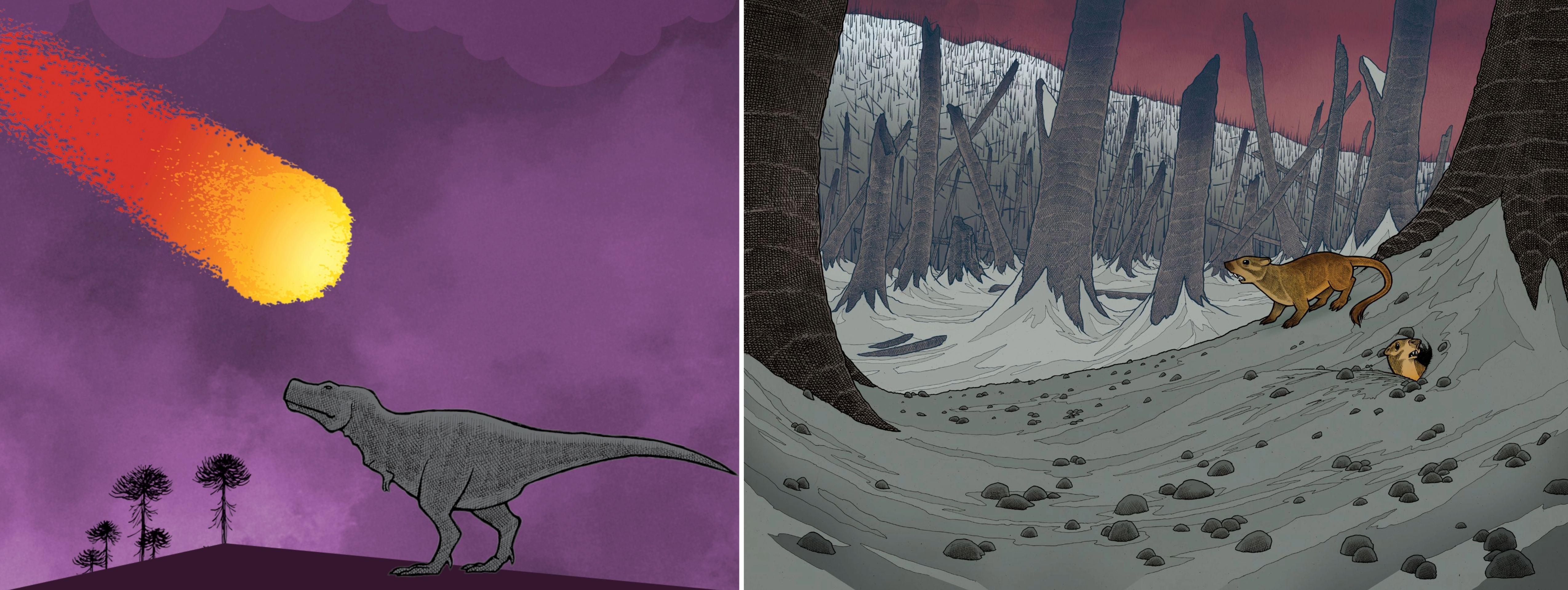 Left, An illustration of an asteroid soaring towards earth across a purple sky. On the ground, a Tyrannosaurus rex watches; Right, an illustration showing a burned forest, with two rodent-like creatures on the ash covered ground.
