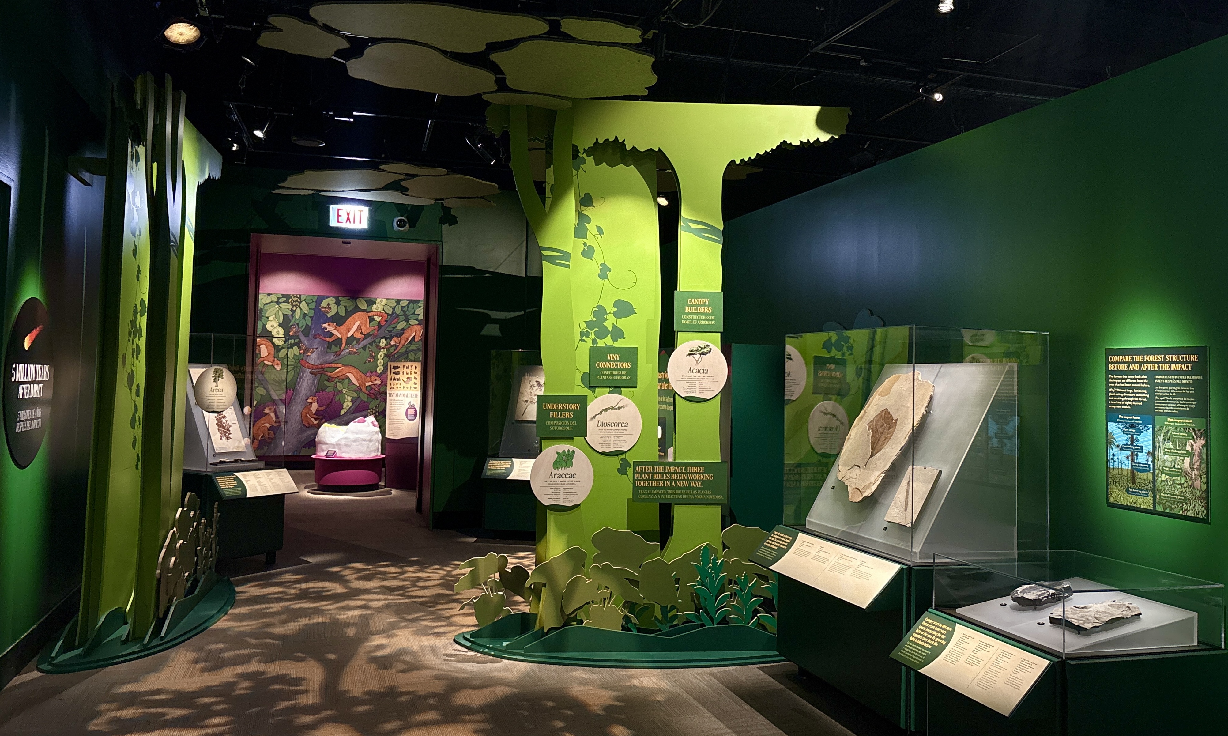 A museum exhibit gallery, with cut-out trees and smaller plants along with display cases featuring fossils.