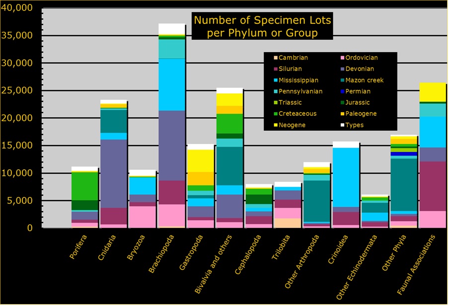 multi color chart of number of specimens per phylum or group