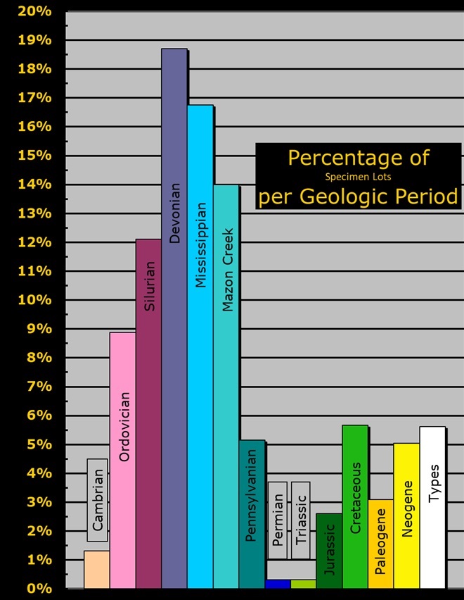 Graph showing the number of specimen lots in the Fossil Invertebrate Collection by Geologic Period
