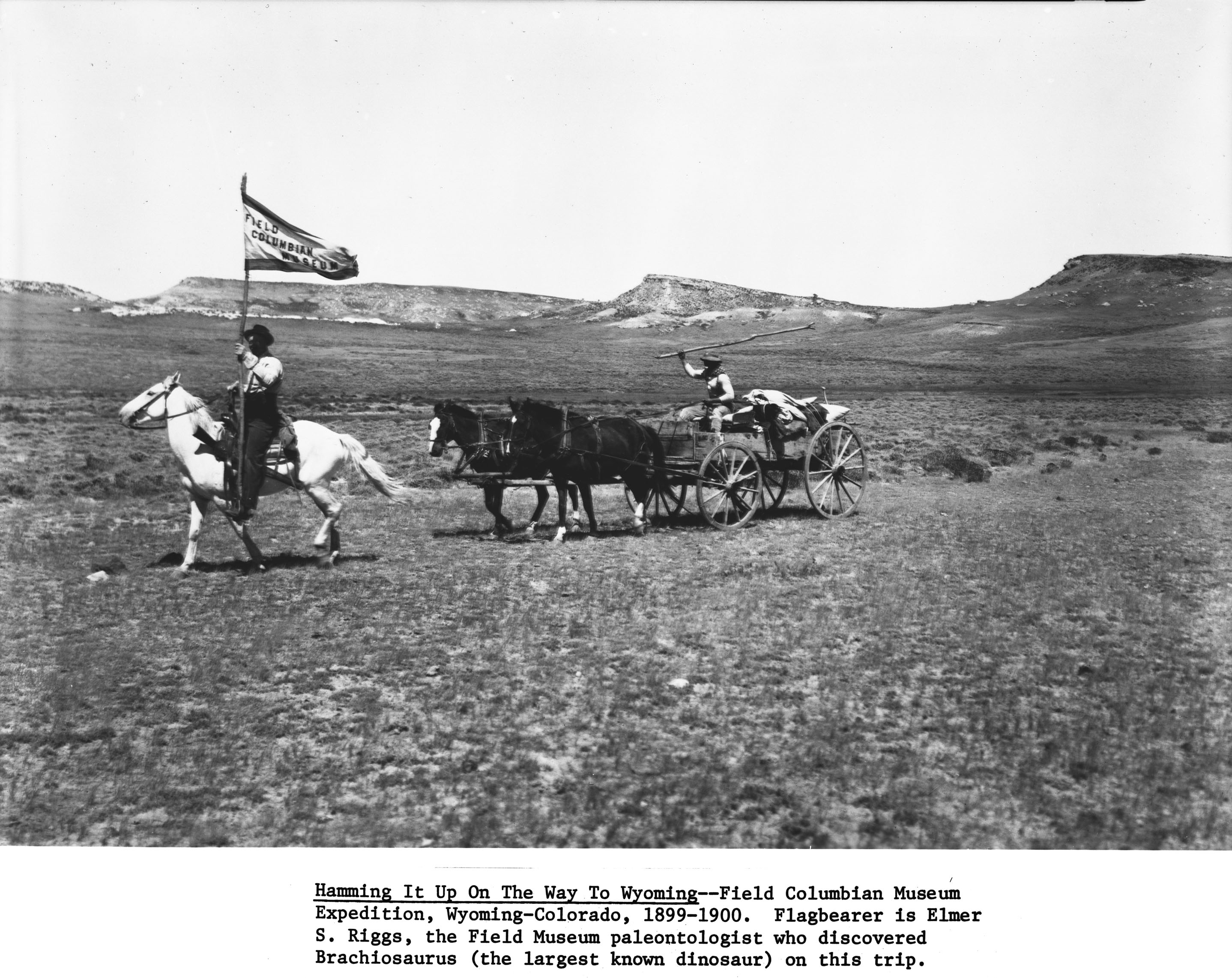 Flagbearer is Elmer S. Riggs, the Field Museum paleontologist who discovered Brachiosaurus (for decades the largest dinosaur) on this trip.  Victor Barnett, camp cook is driving the wagon