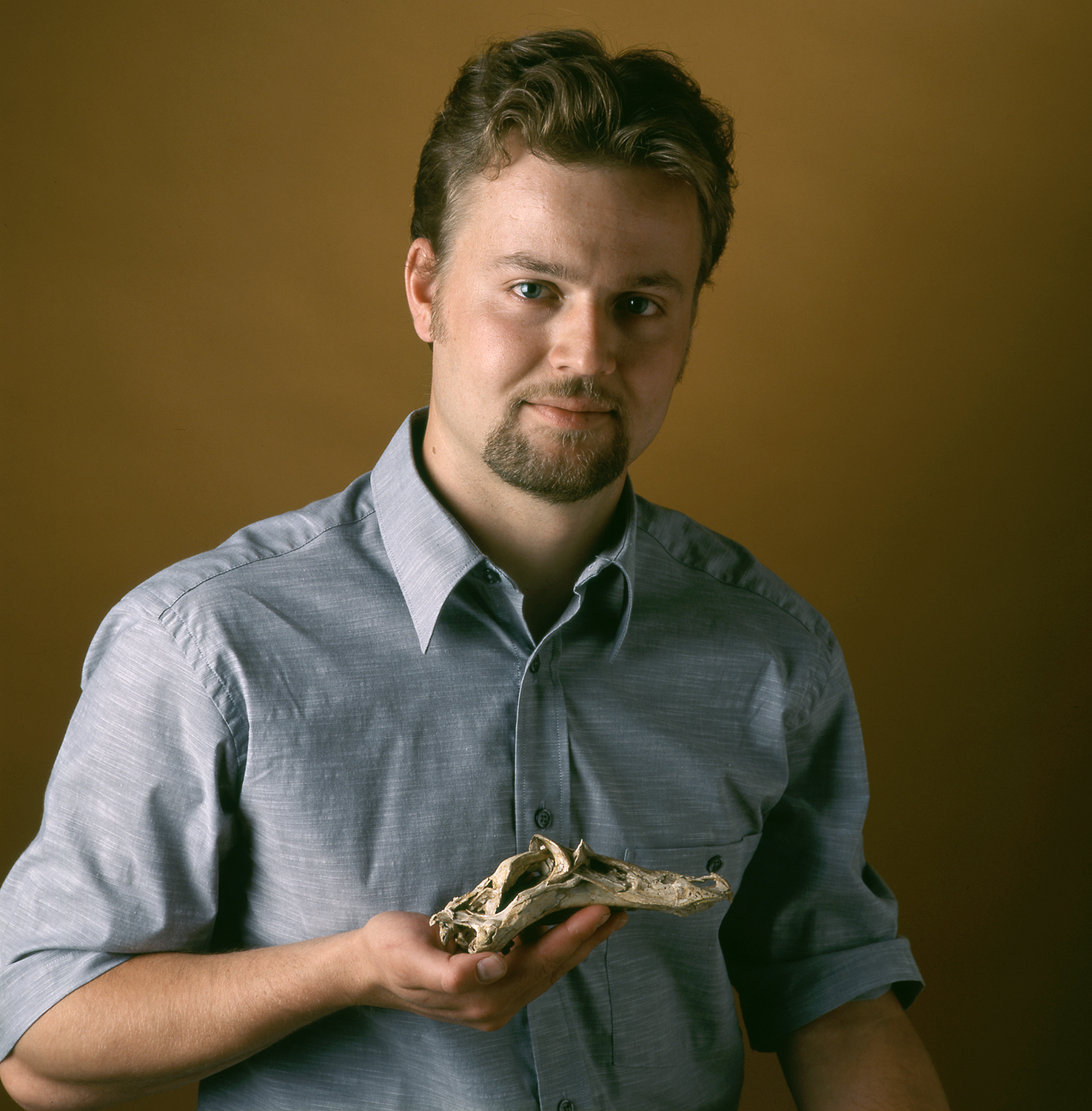 Peter Makovicky, new Geology curator and dinosaur specialist. Studio portrait holding specimen of skull of Gallimimus bullatus, a Mongolian orniithomimid.  An extremely well-preserved, 70-million-year-old fossil an ornithomimid or bird-like dinosaur, found in the Gobi Desert by Makovicky.