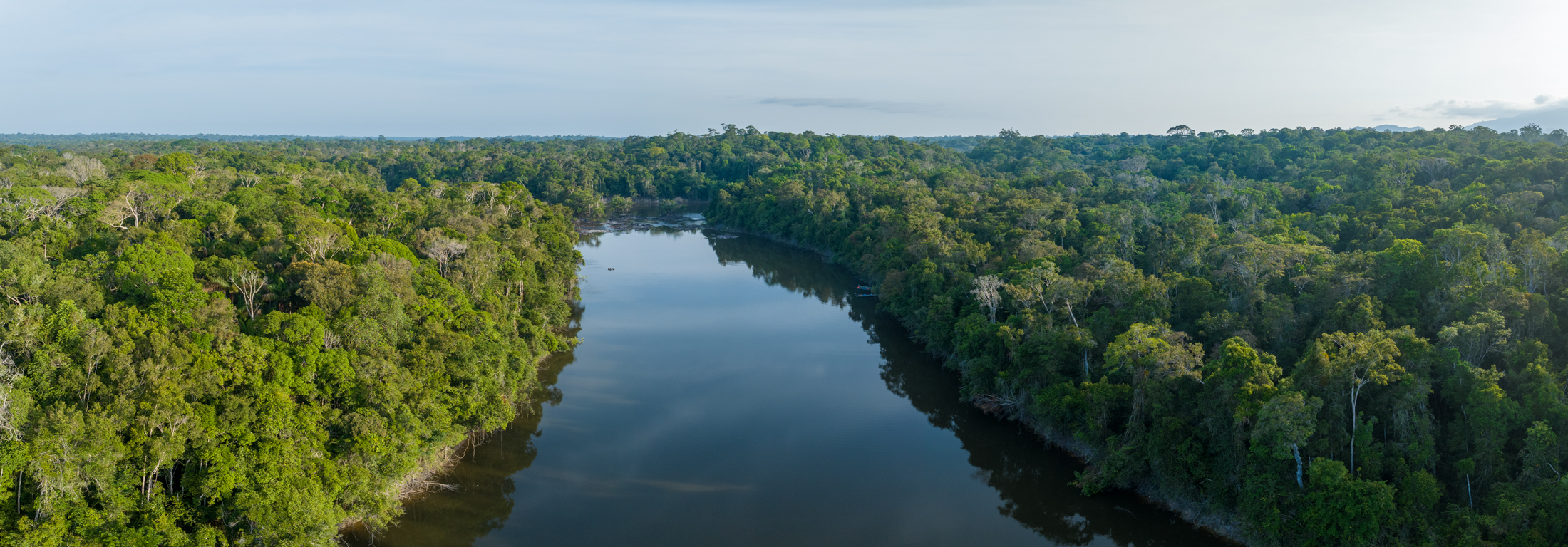 Drone shot of a stretch of the Essequibo River near Camp Amuku, with canoes visible at the camp dock