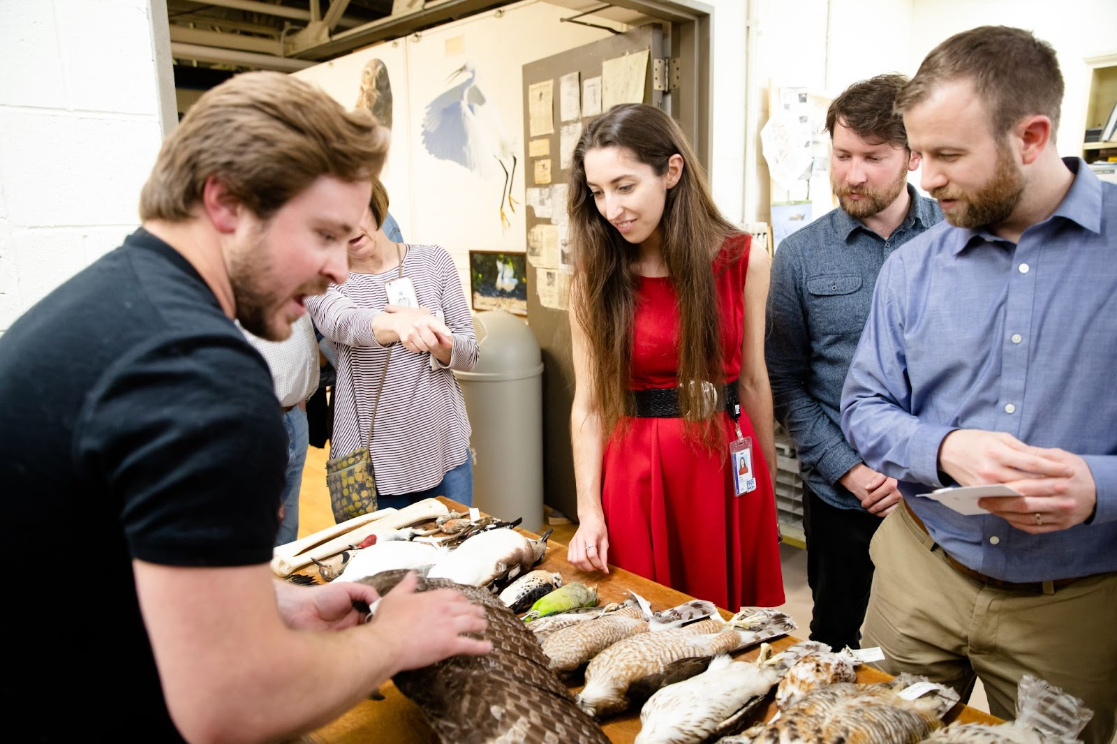 A man stands on one side of a table displaying bird specimens as a group of visitors looks on.