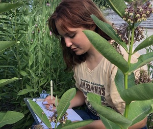 Intern in 2019 MCSP recording data observation