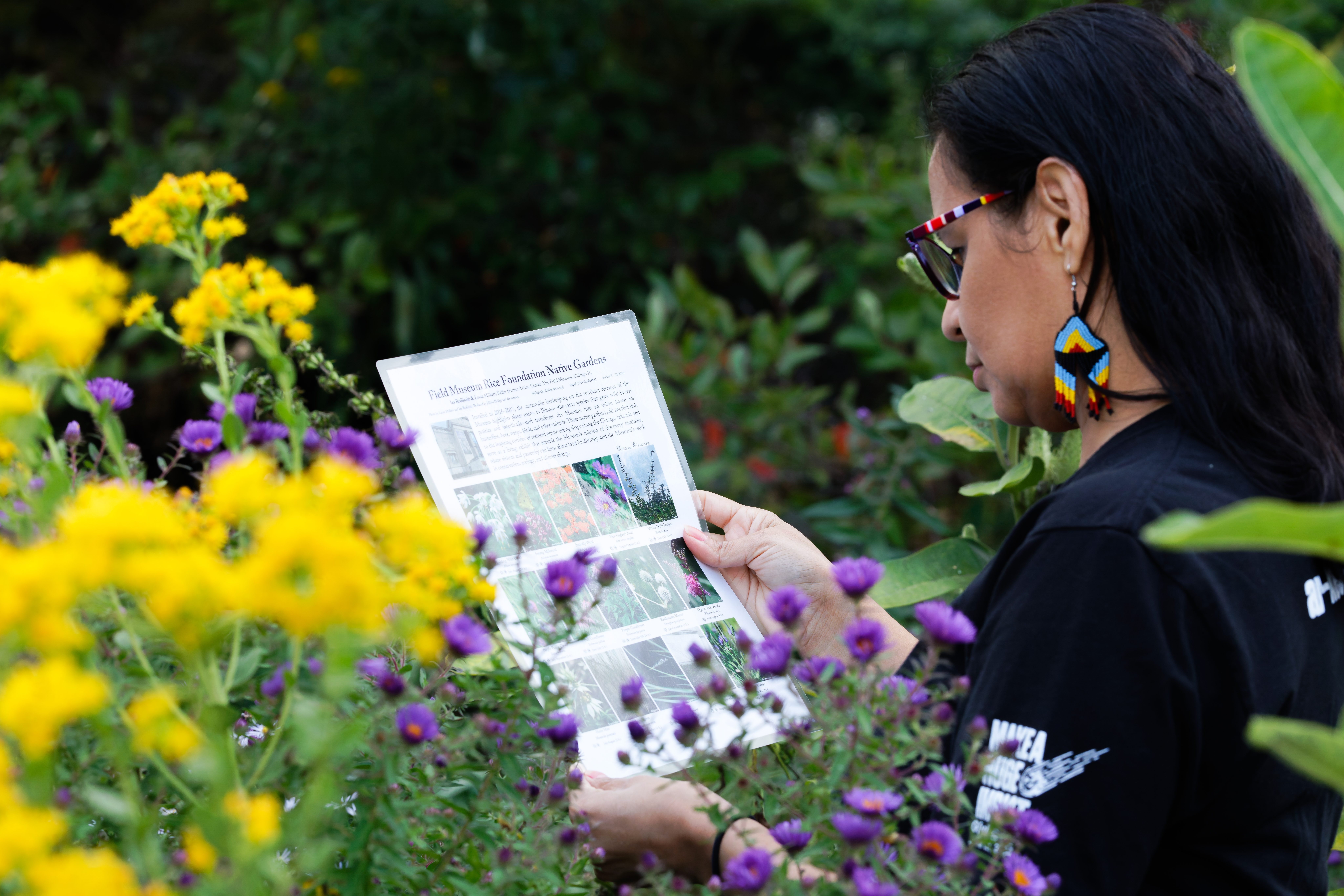 Woman holding a field guide surrounded by flowers