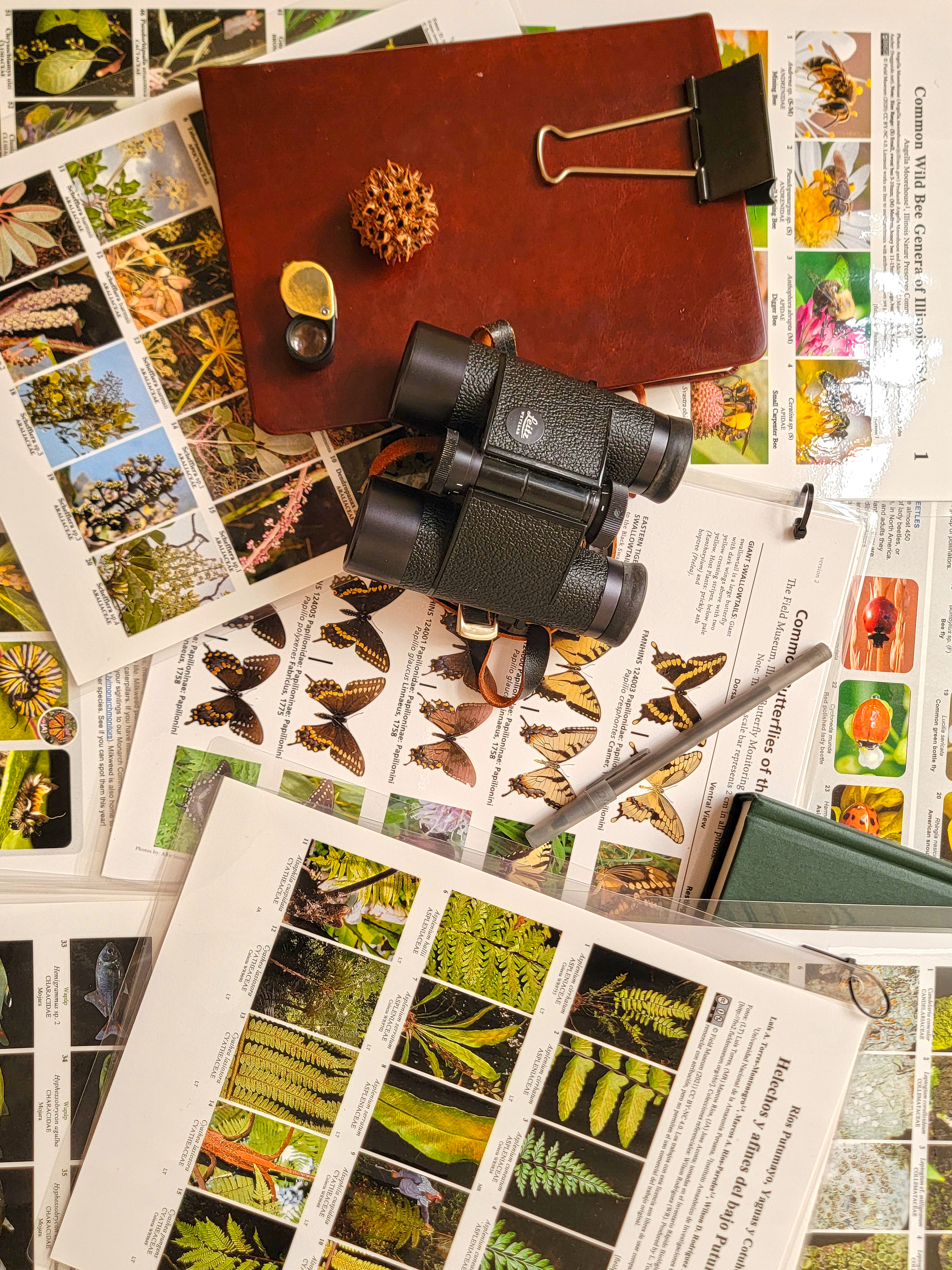 Display of field guides and tools