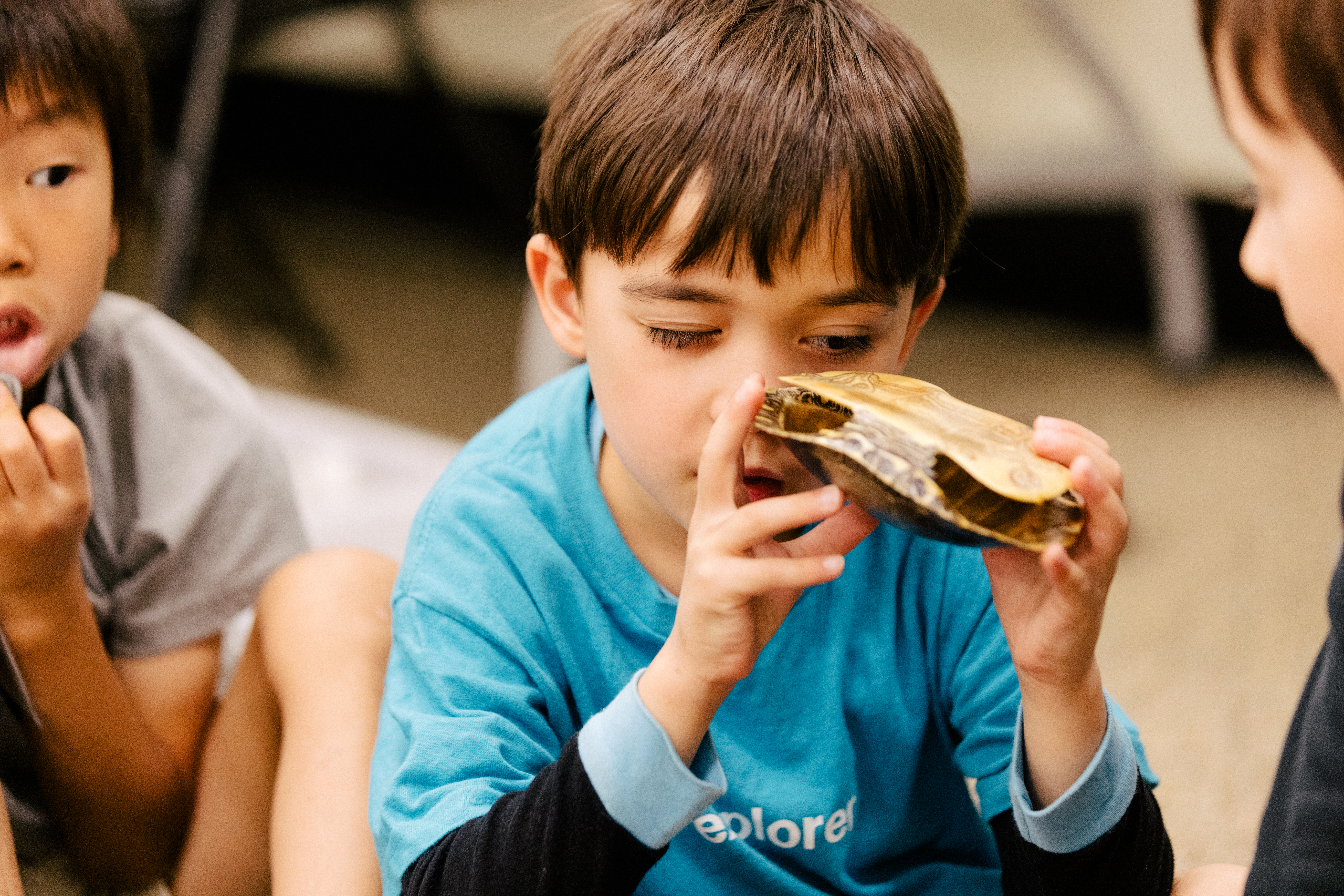A child holds a turtle shell specimen close to their face and peers inside.