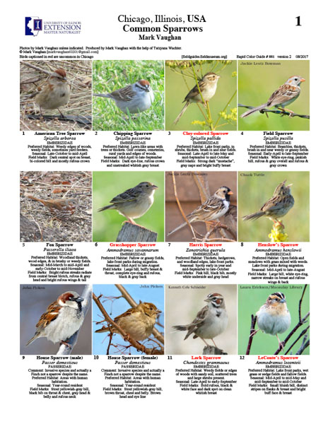 Field Guide Cover with 12 images of sparrows and their identifications