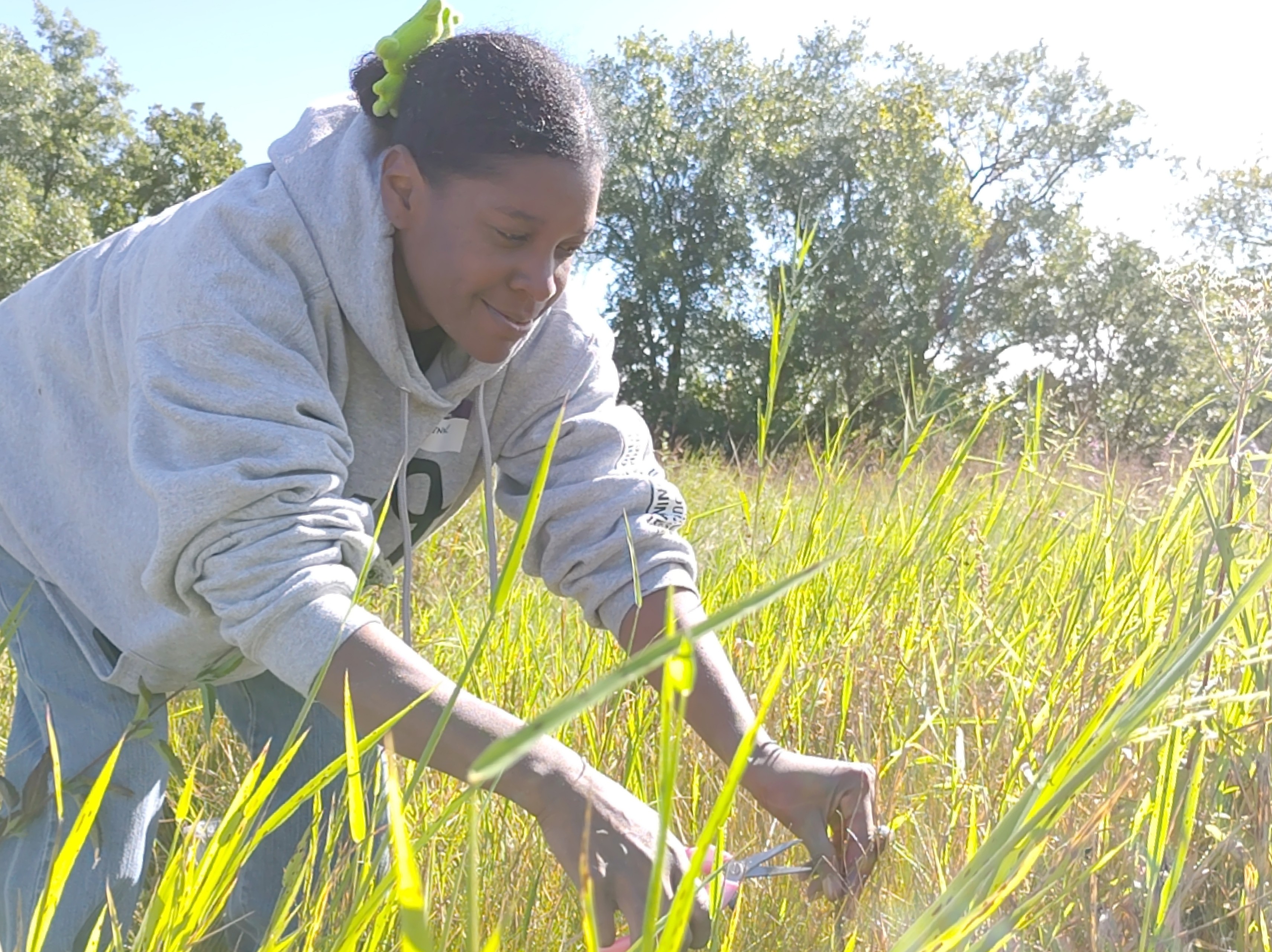 Volunteer Adrienne Brown collecting seed at Beaubien