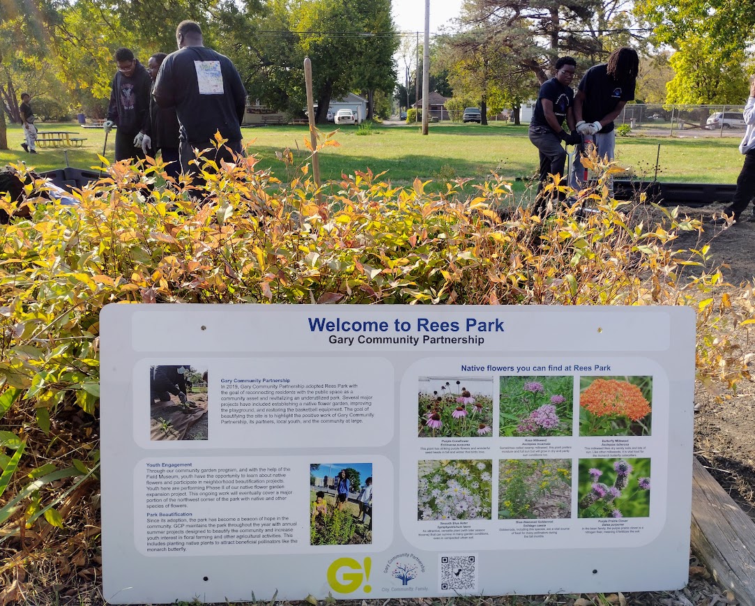The Field Museum and Gary Community Partnership and local partners plant a demonstration native garden at Rees Park in Gary, Indiana.