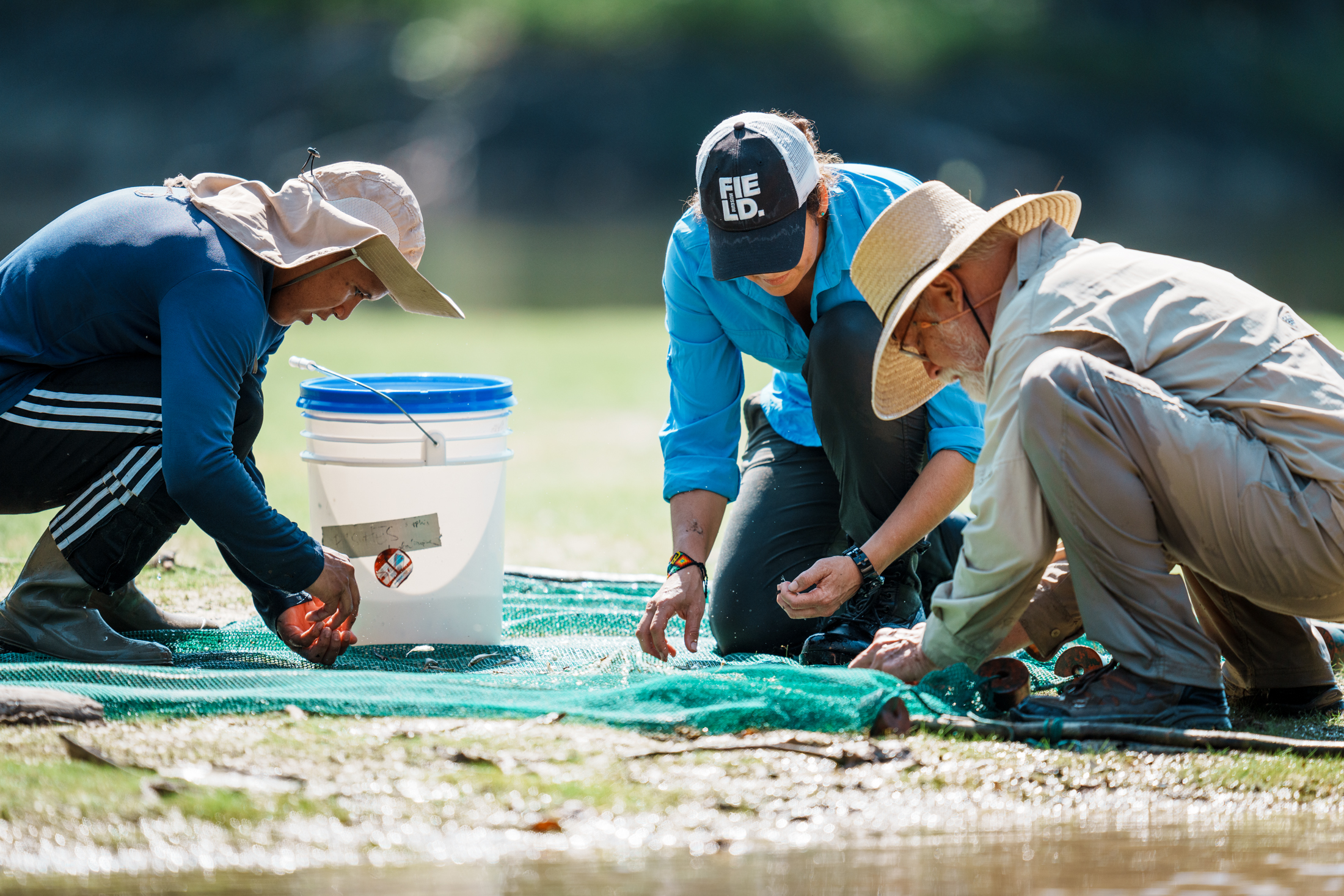 llister Henry of the Guyana Protected Areas Commission (left), Lesley de Souza of the Field Museum, and Donald Taphorn collecting fish in the Essequibo River during RI-32