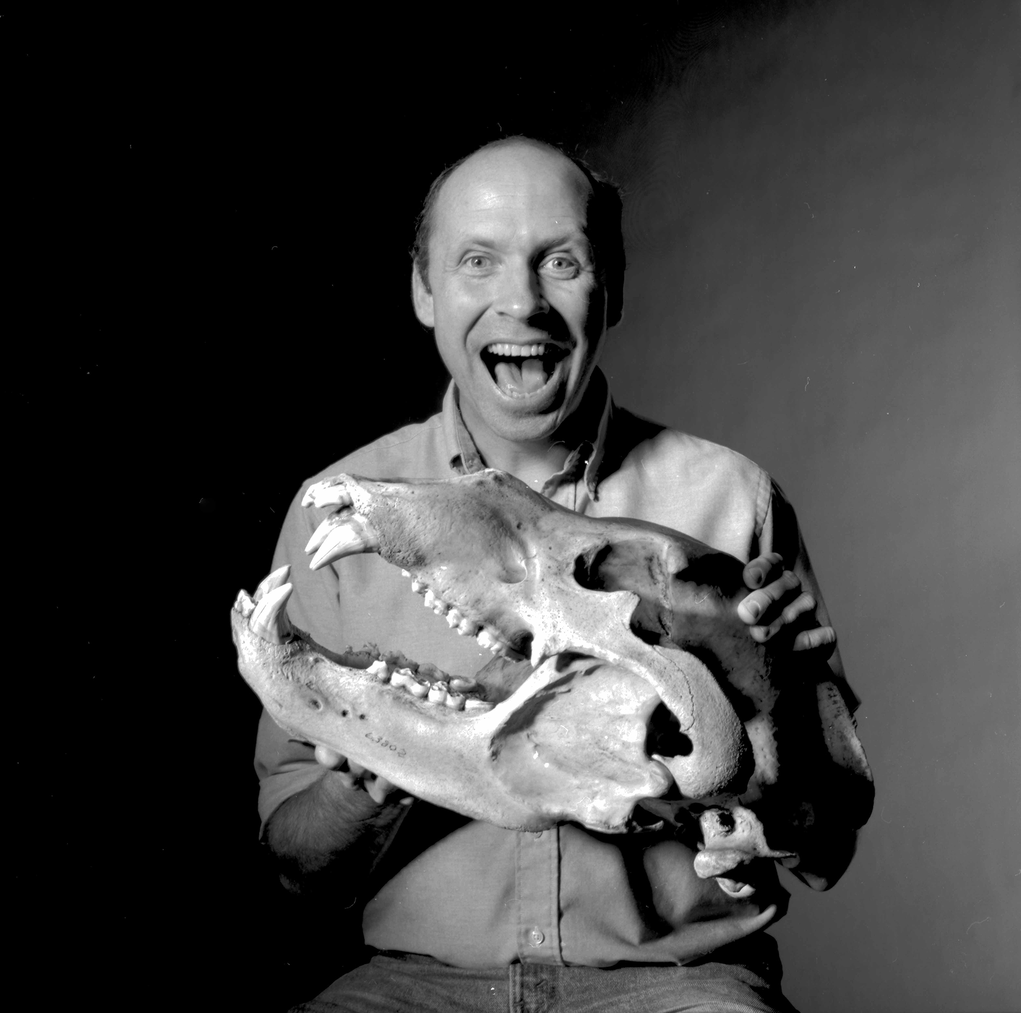 Bill Stanley posing with the skull of a bear and grinning widely.