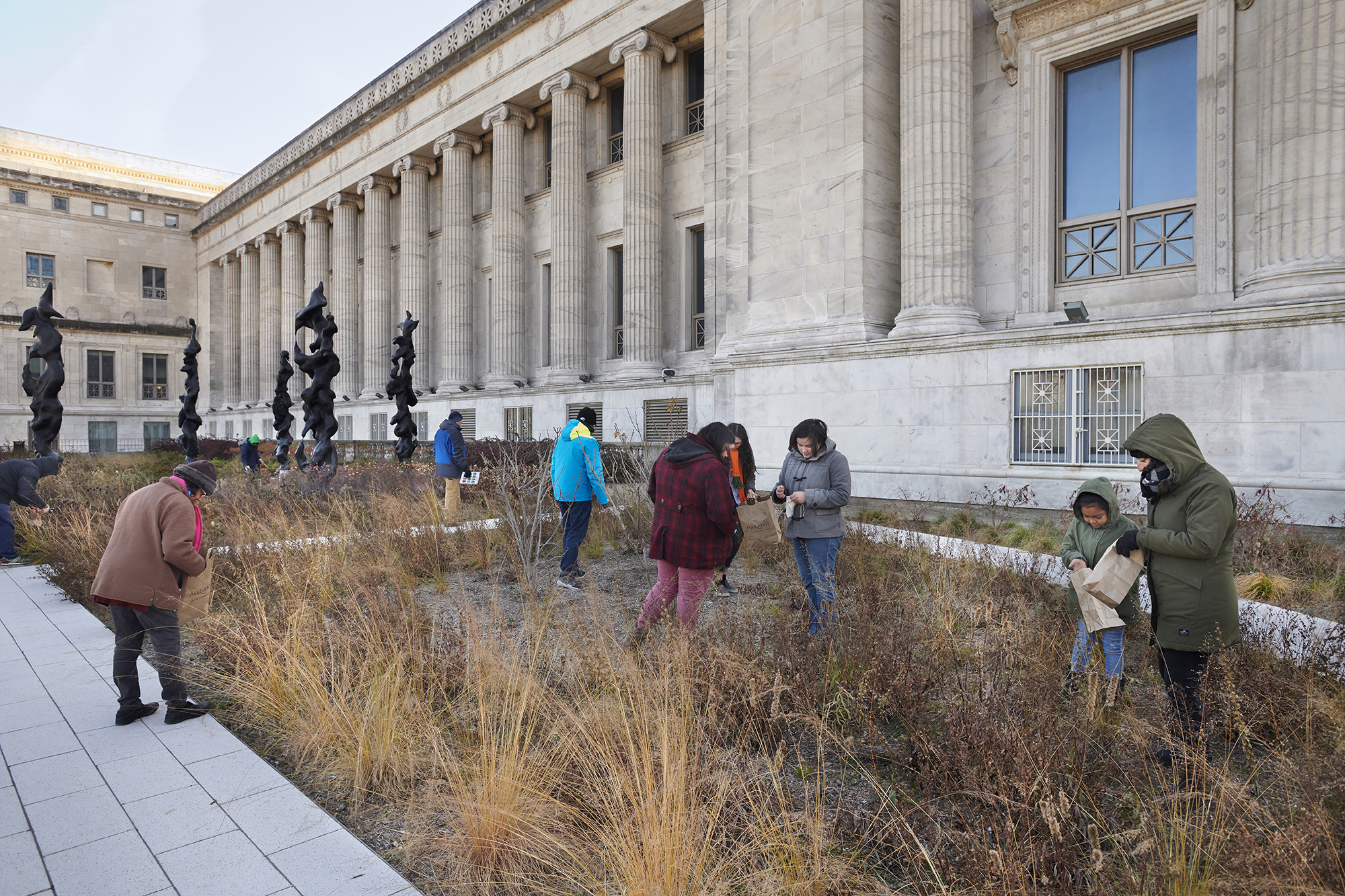Adults and children bundled up in hats and gloves harvest seeds in the Rice Native Gardens outside the Field Museum in late autumn.