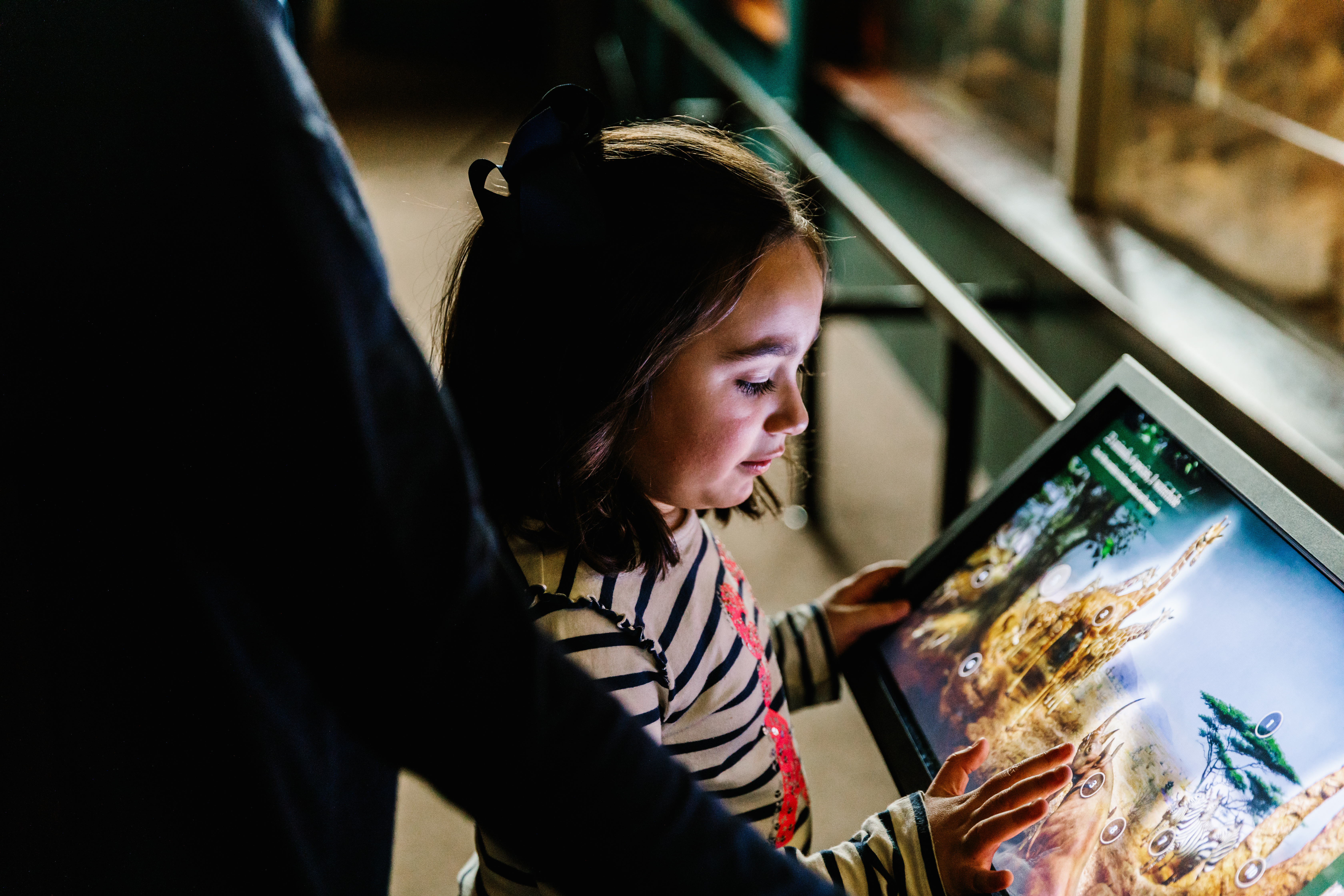 A child explores an interactive tablet in an exhibit.