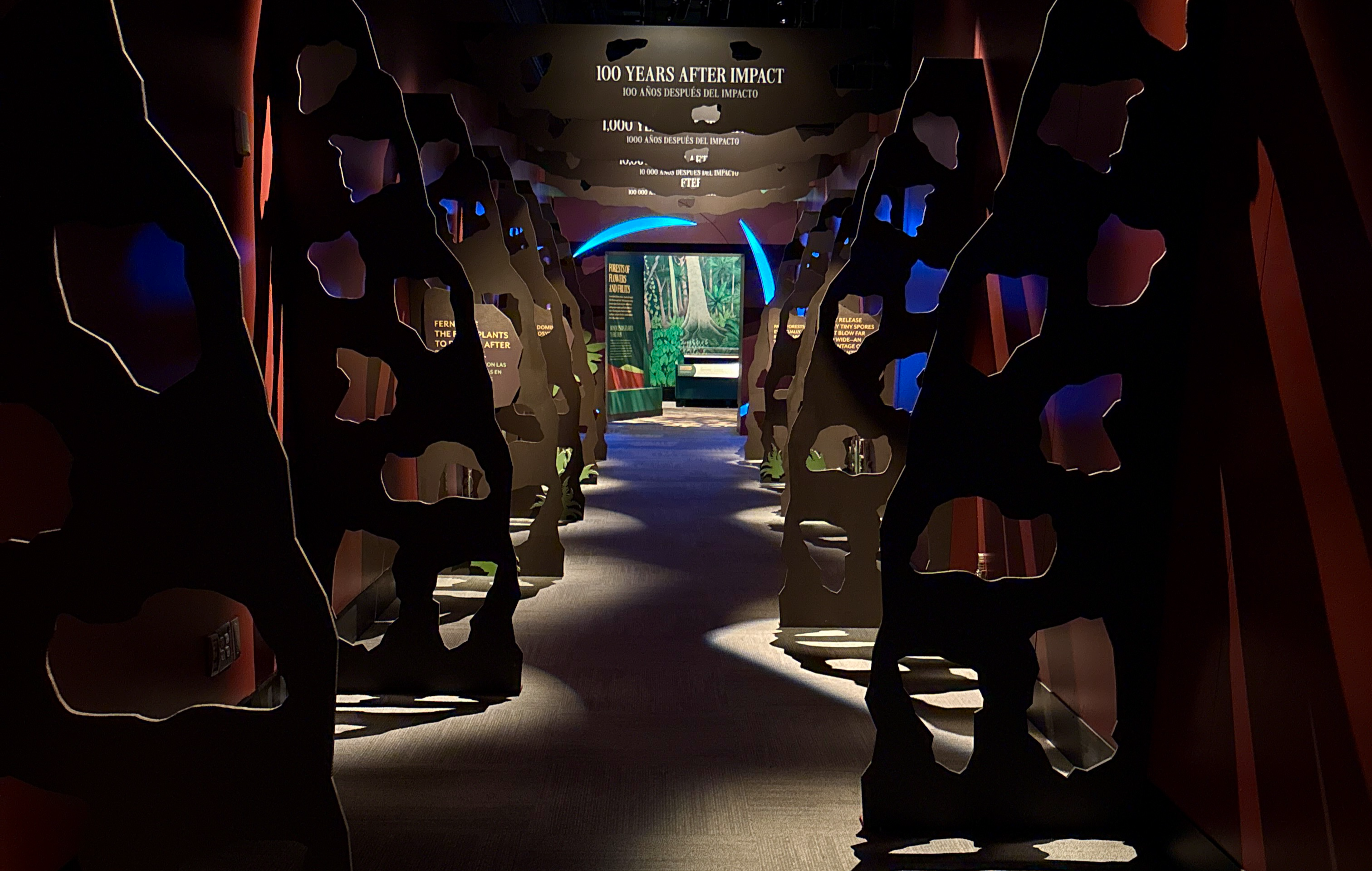 An exhibition gallery that leads visitory down a walkway marked with images and text recreating a trip through time.