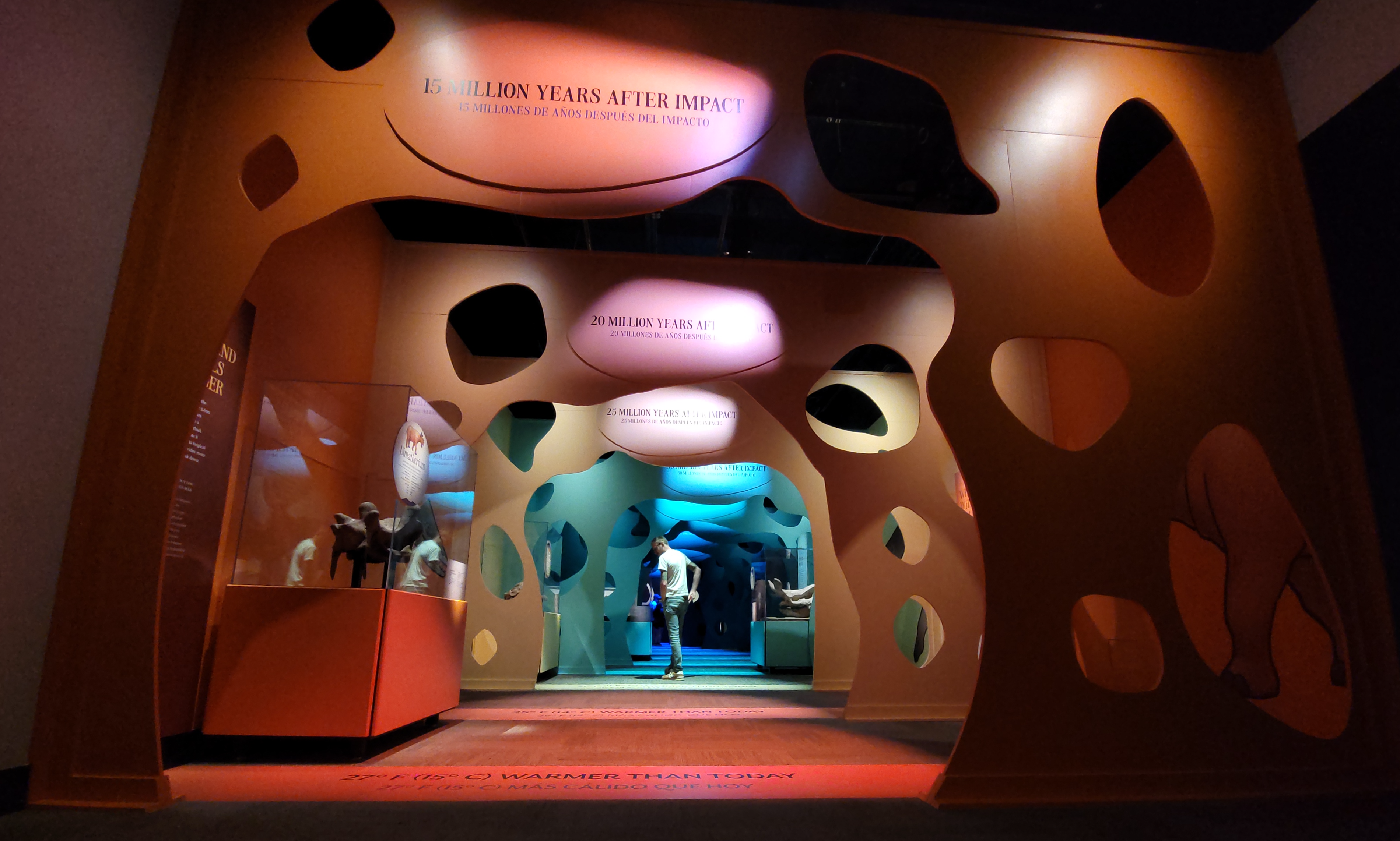 A look into a museum exhibition gallery, with lighting and display colors changing down a long hall
