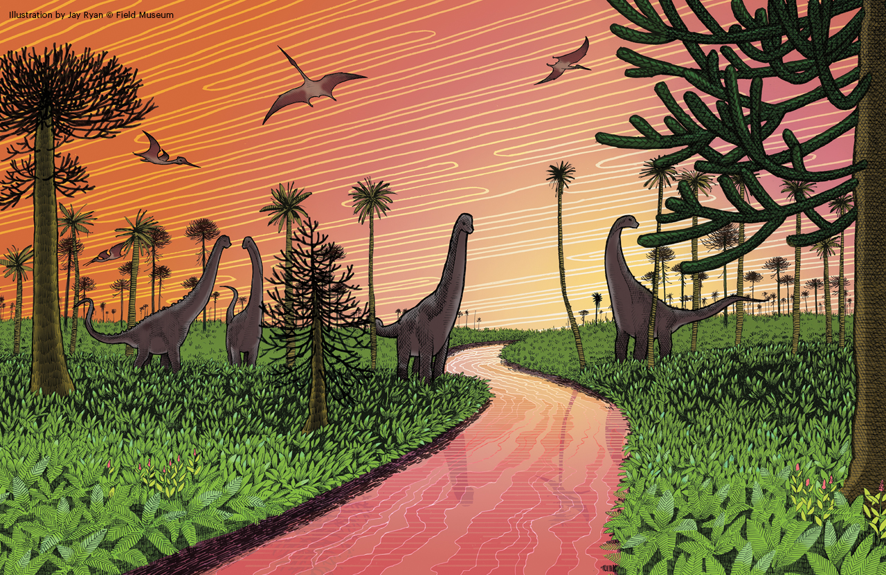 An illustration with long necked-dinosaurs standing on greenery along a river. Tall trees can be seen throughout the landscape. The sky and river is glowing in shades of orange and pink, as if at sunrise or sunset.