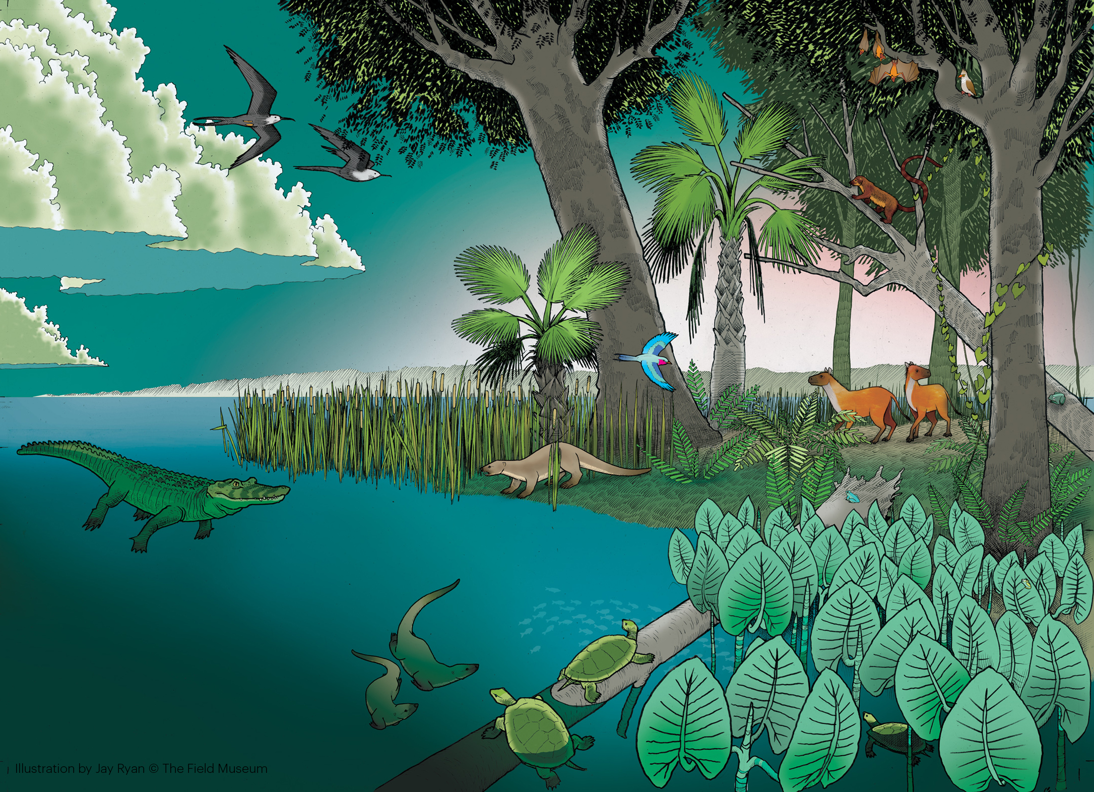 An illustration of a landscape featuring a lake with a  crocodile-like animal, along with turtles and otter-like animals swimming. On the shore there are trees, plants and grasses, Several birds can be seen flying, along with some smaller animals in the trees. A couple of larger, red animals are also seen.