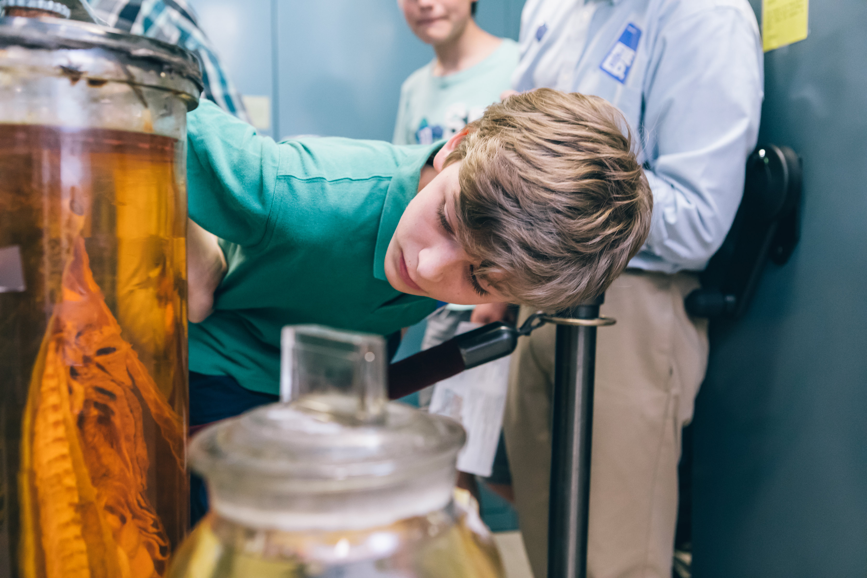 A young visitor peers at a specimen in a jar.