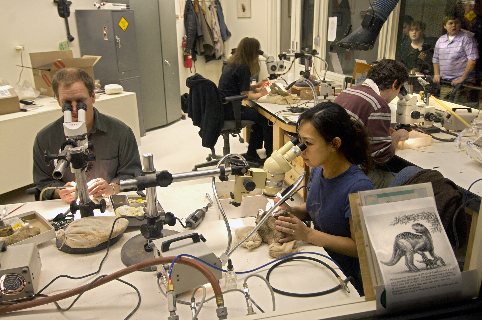 Four people sit at separate microscopes, inspecting and cleaning different fossils in a busy lab.