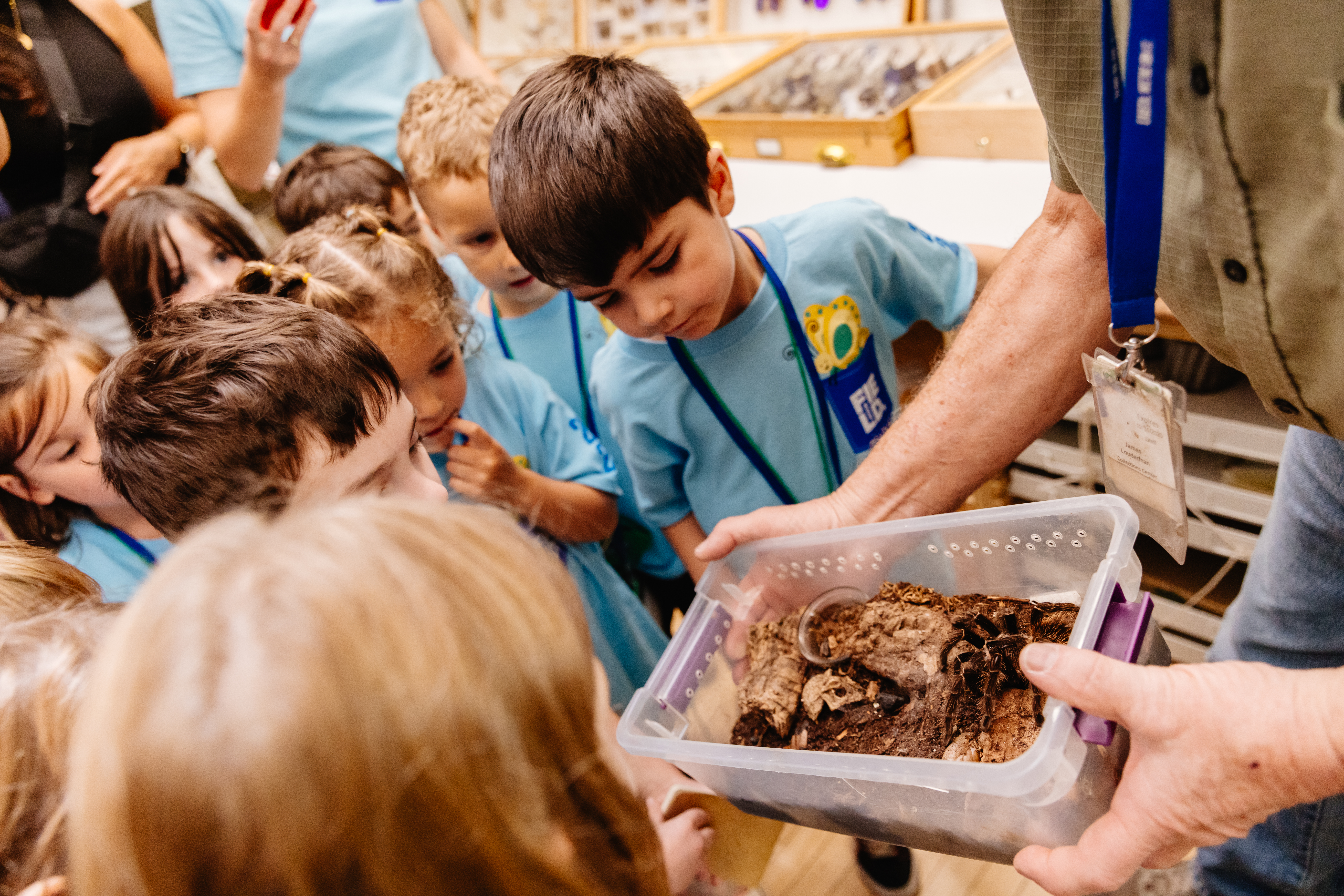 A group of children stand looking at a large spider in a container as a museum scientist holds it.