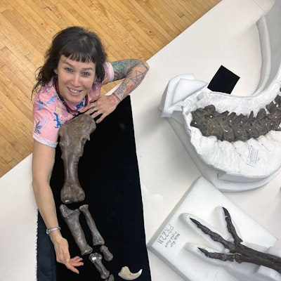 A woman sitting at a table looks up at an overhead camera. On the table are several dinosaur fossils, one that the woman is comparing her arm size to.